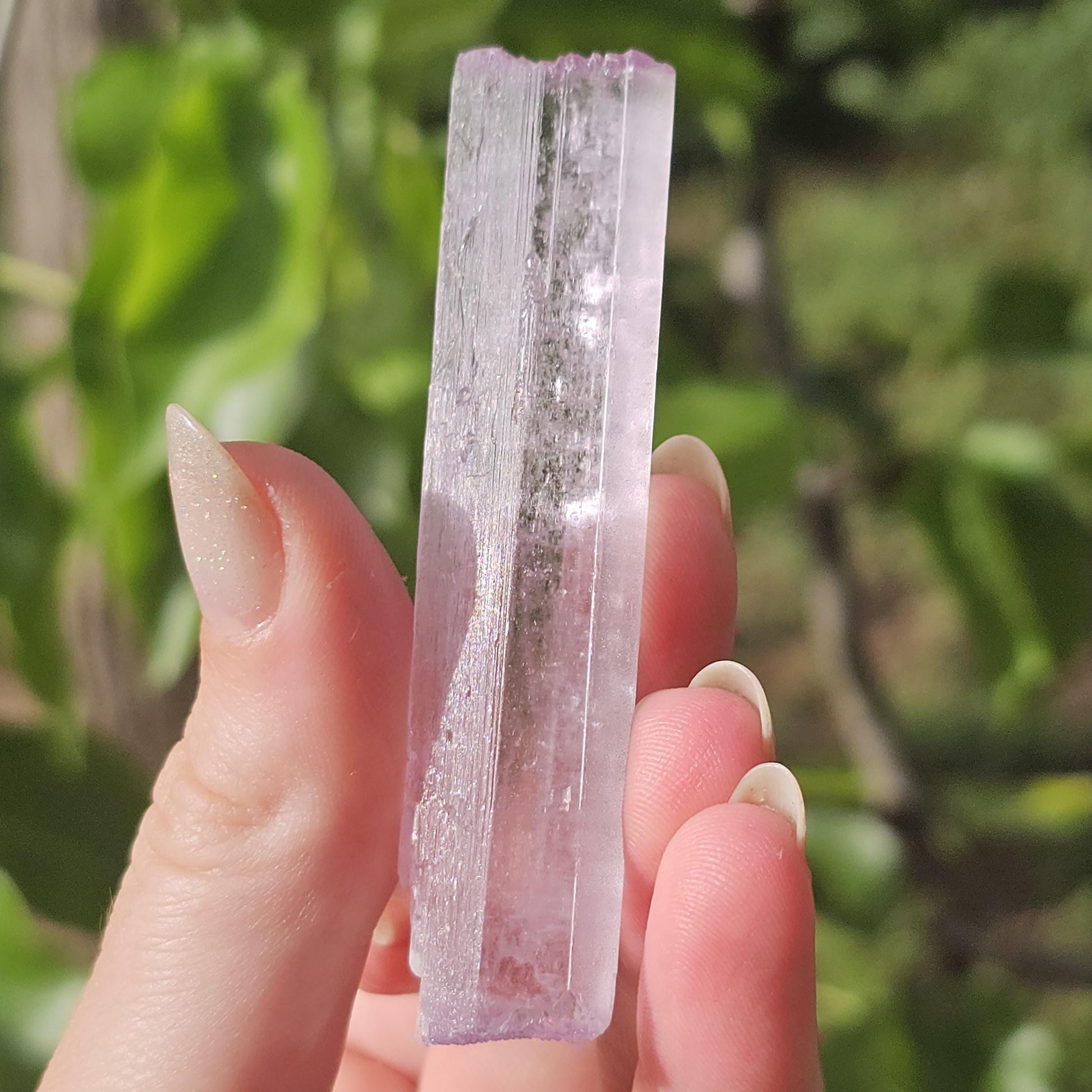 Stunning AAA Spodumene var. Kunzite Crystal with Great Luster and Color