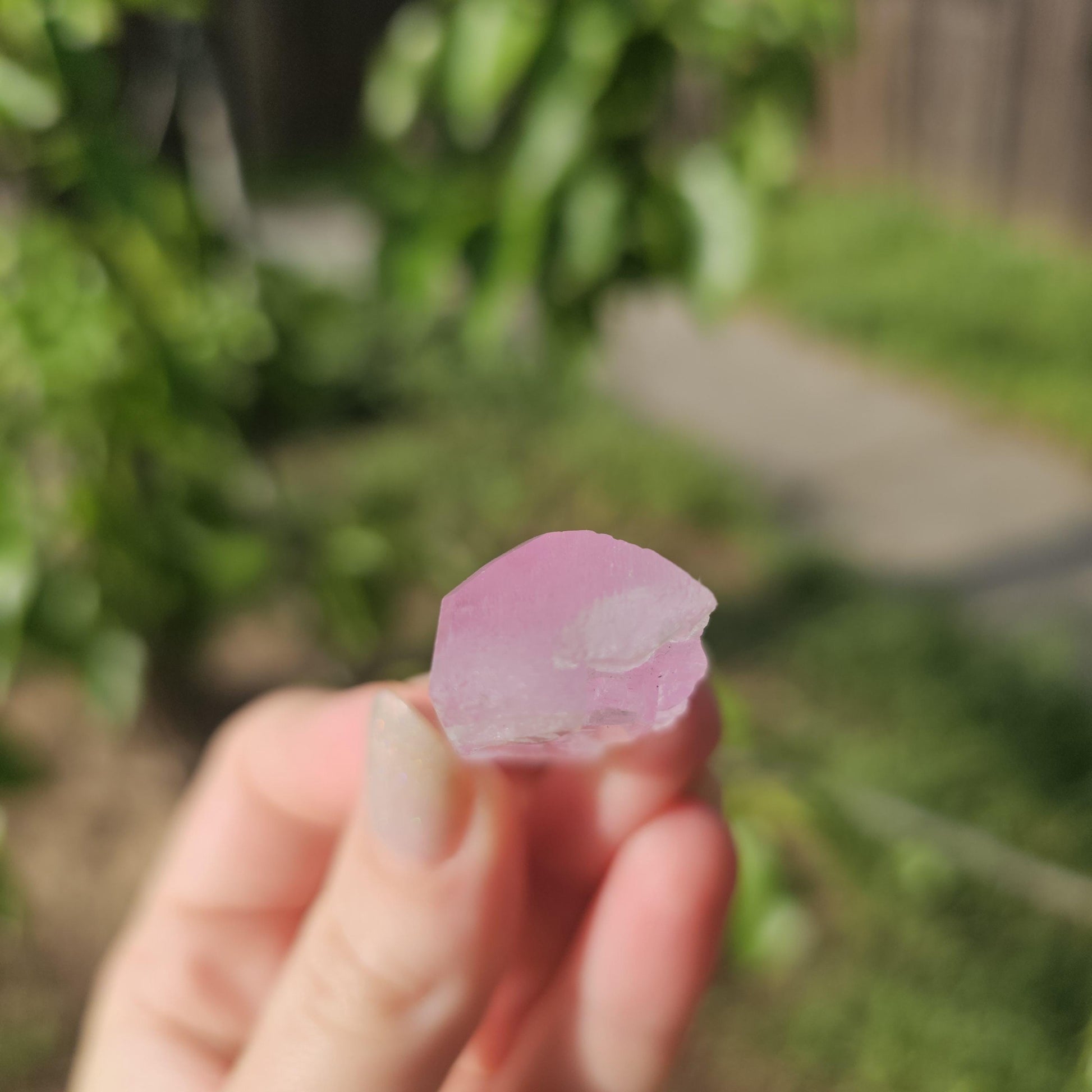Juicy Pink Spodumene var. Kunzite Crystal with Great Luster, Hot Color