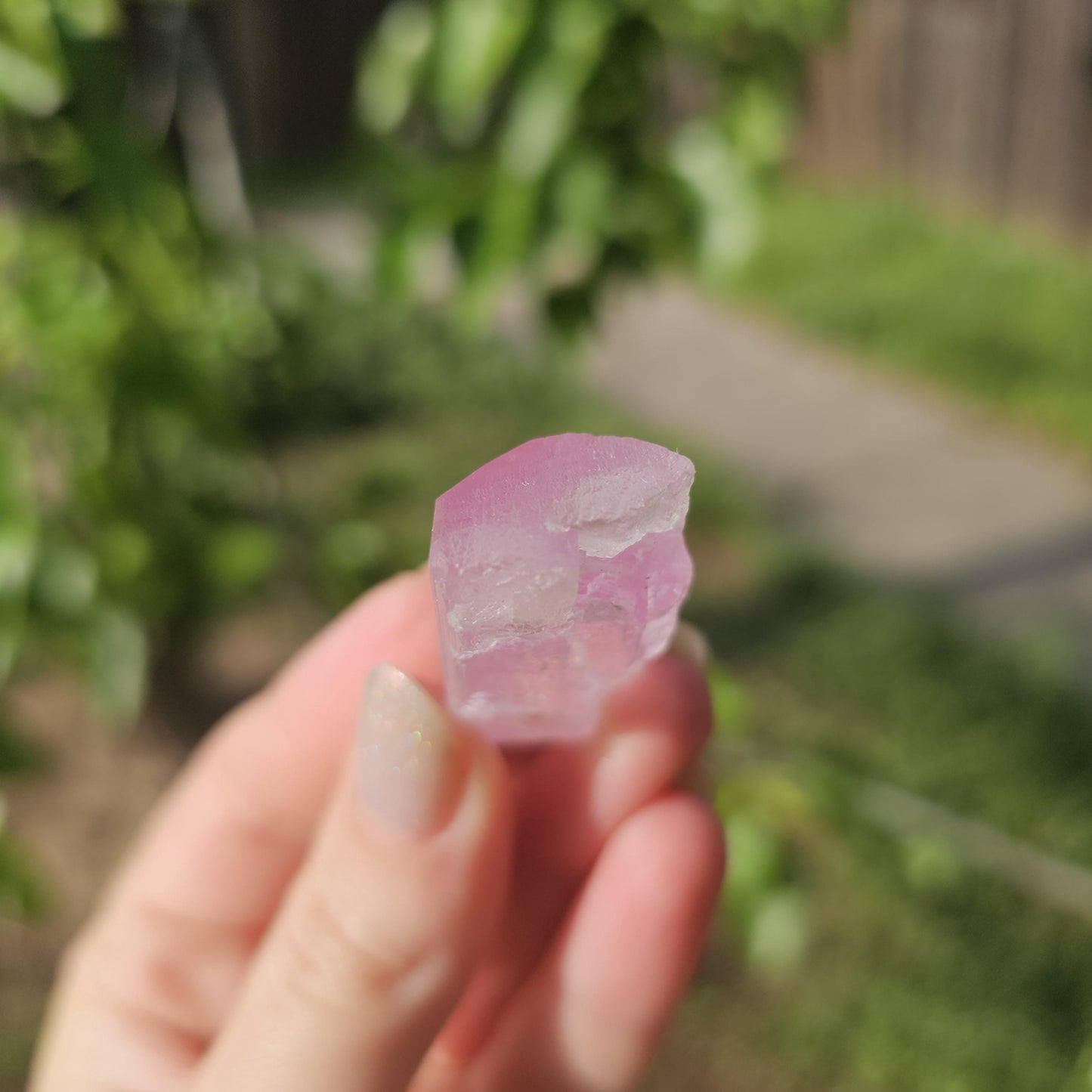 Juicy Pink Spodumene var. Kunzite Crystal with Great Luster, Hot Color