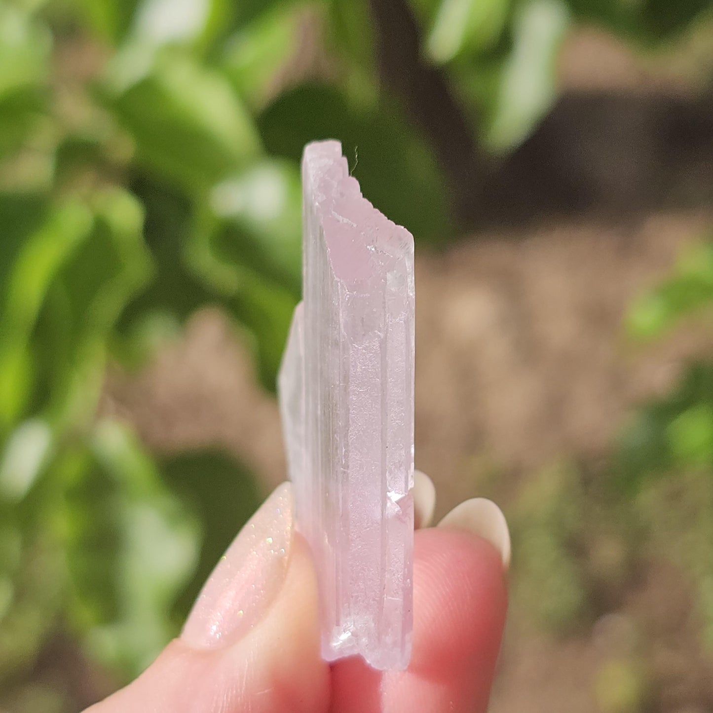 Unique Tabby Spodumene var. Kunzite Crystal w Great Luster, Highly UV Reactive Fluorescent Collector Specimen, Twinned Rare 'Sunstone' Shape