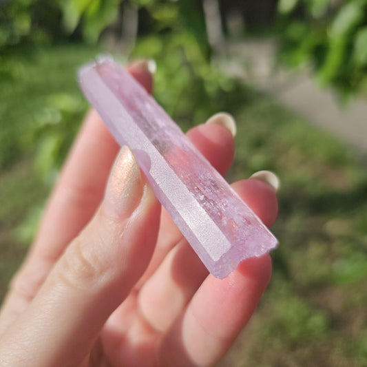 Stunning AAA Spodumene var. Kunzite Crystal with Great Luster and Color