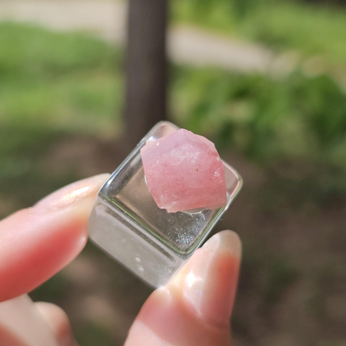 Baby Pink Garnet, Sierra de las Cruces, Mexico, New Stock 2024 Production <100