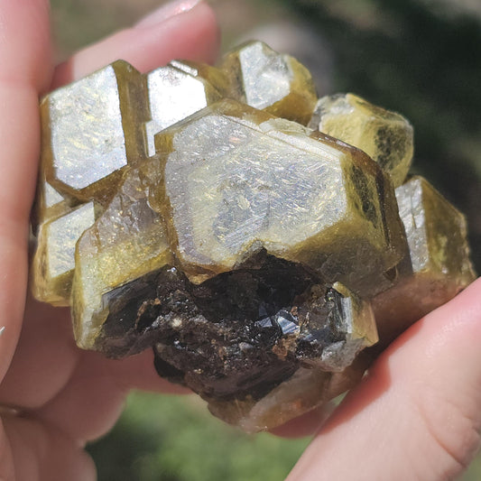 Mali Garnet with Well Documented History, Unique Large Terminated Cluster with Chocolate Brown core, Green Skin, and some Rare Blue!