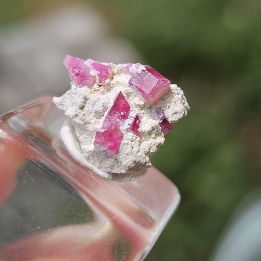 Hot Pink Red Beryl Crystals in Matrix/ Bixbite Specimen from Wah Wah Mtns, Utah