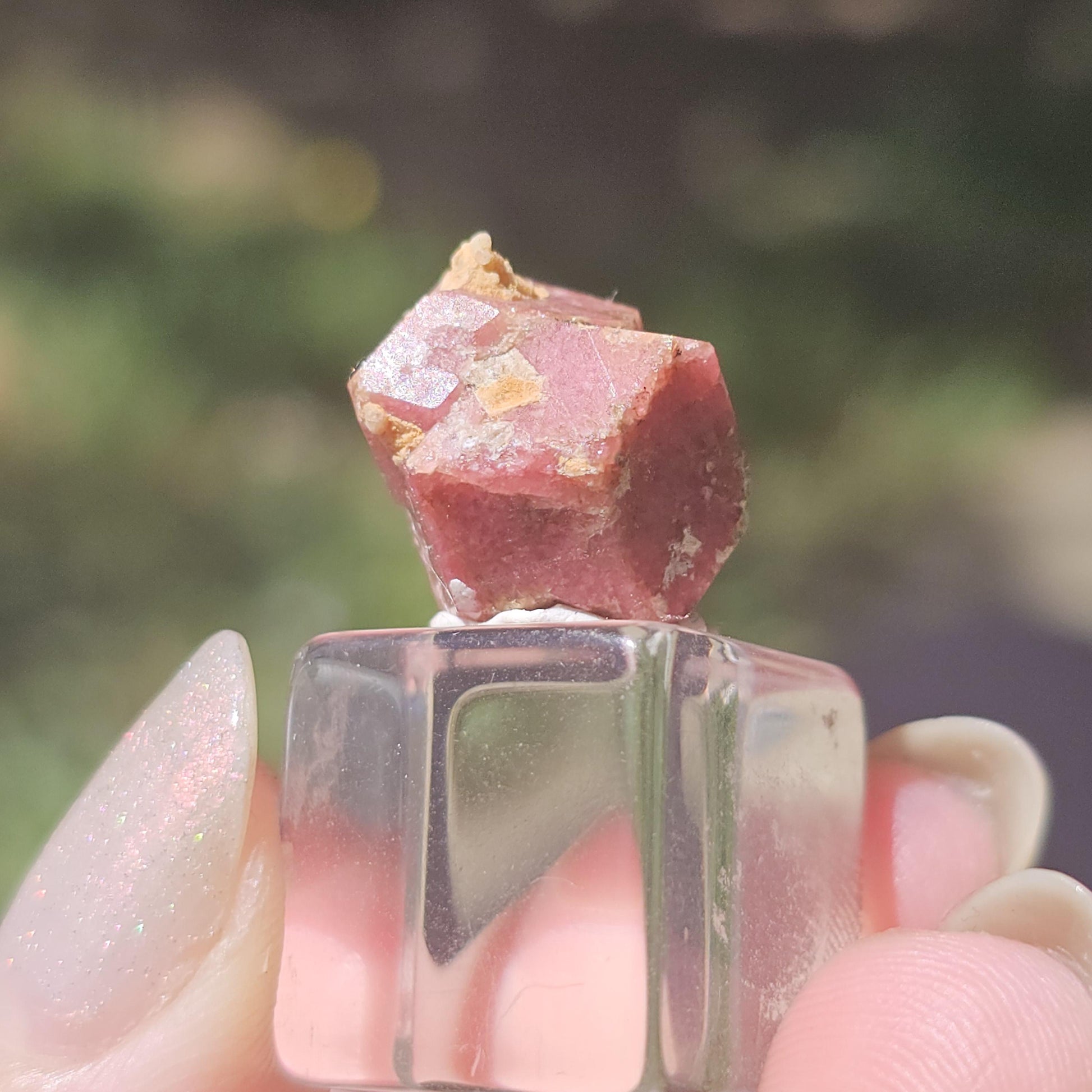 Rough Raspberry Garnet Floater from Sierra de Cruces Mexico <100