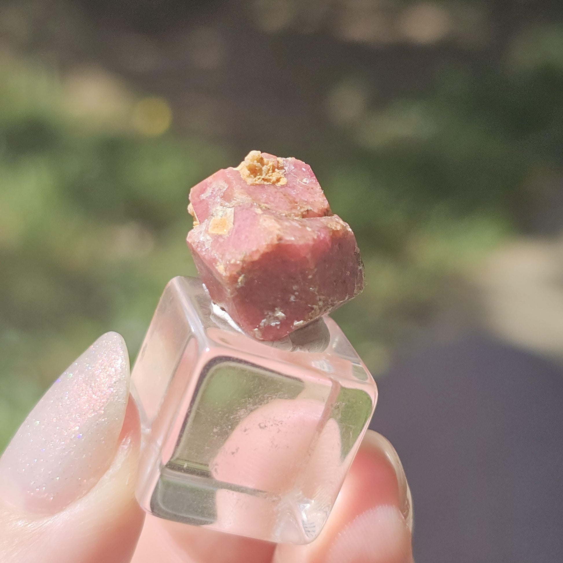 Rough Raspberry Garnet Floater from Sierra de Cruces Mexico <100