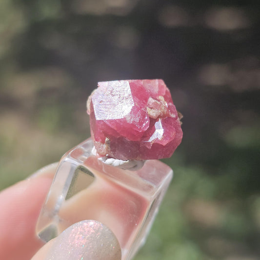 Hot Pink Raspberry Garnet Floater from Sierra de Cruces Mexico <100