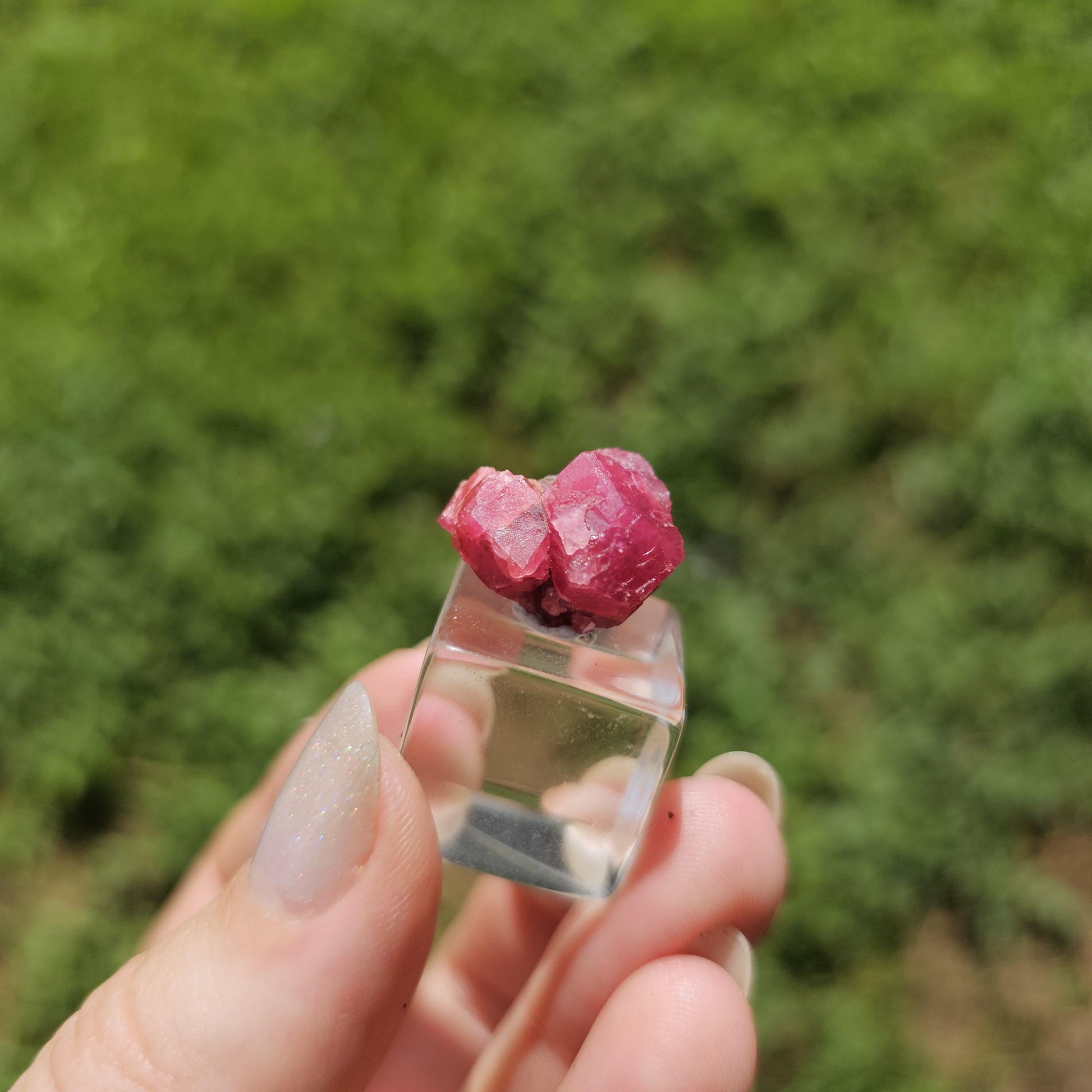 Raspberry Garnet Crystal Cluster w Black Core, Sierra de Cruces, Mexico <100