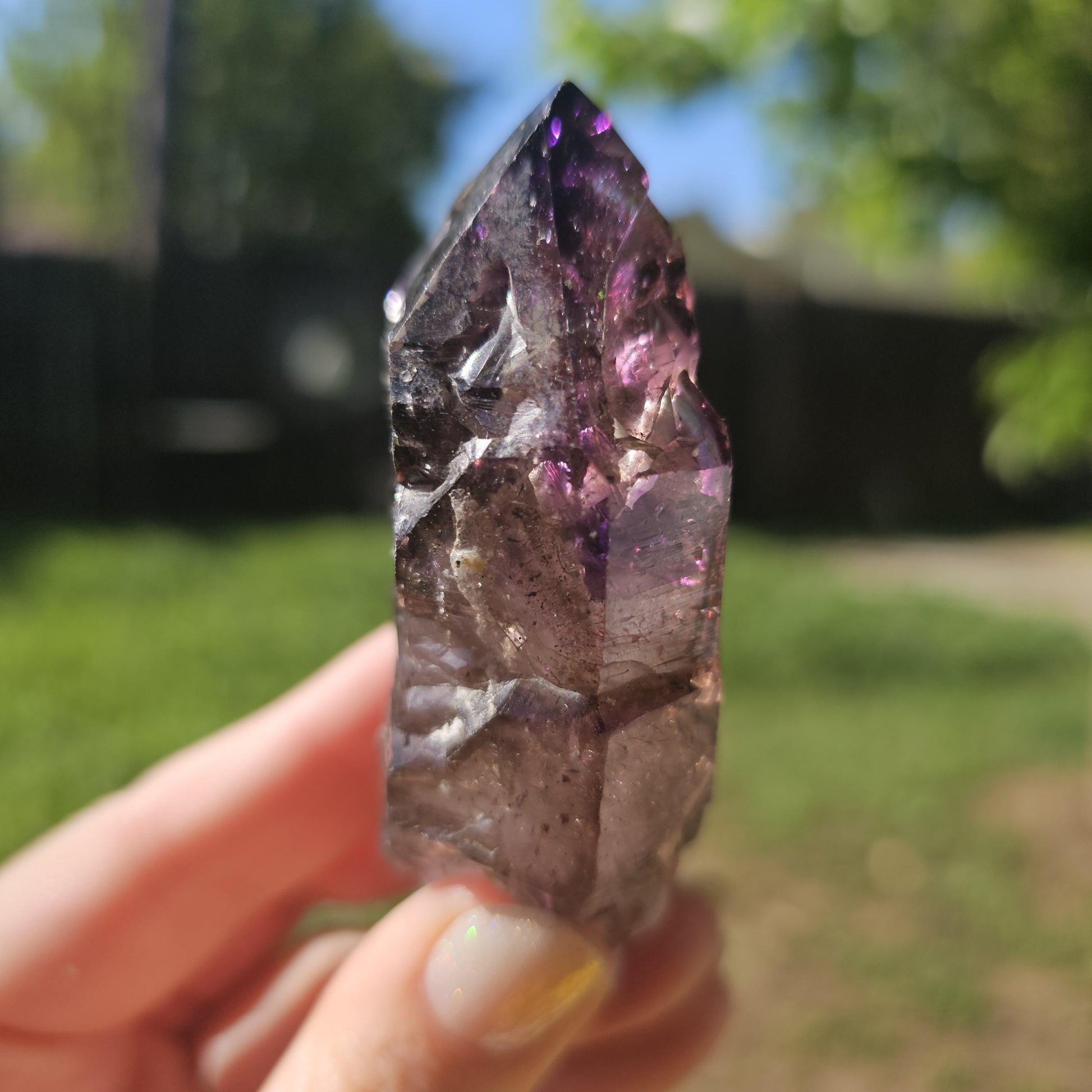 Large Tabby Shangaan Smoky Amethyst Sceptre from Zimbabwe