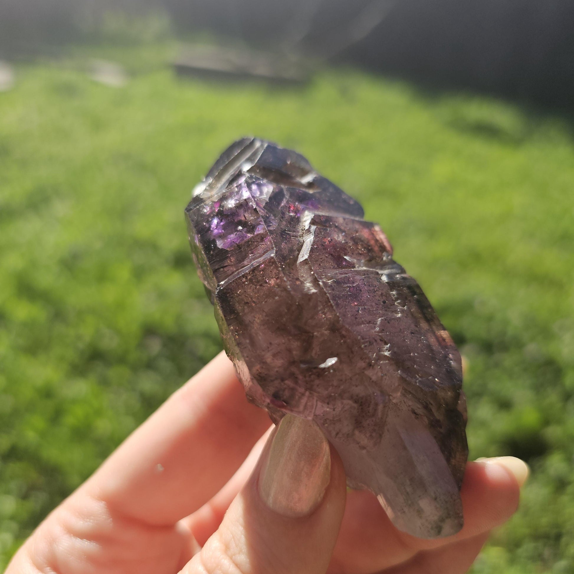 Large Tabby Shangaan Smoky Amethyst Sceptre from Zimbabwe