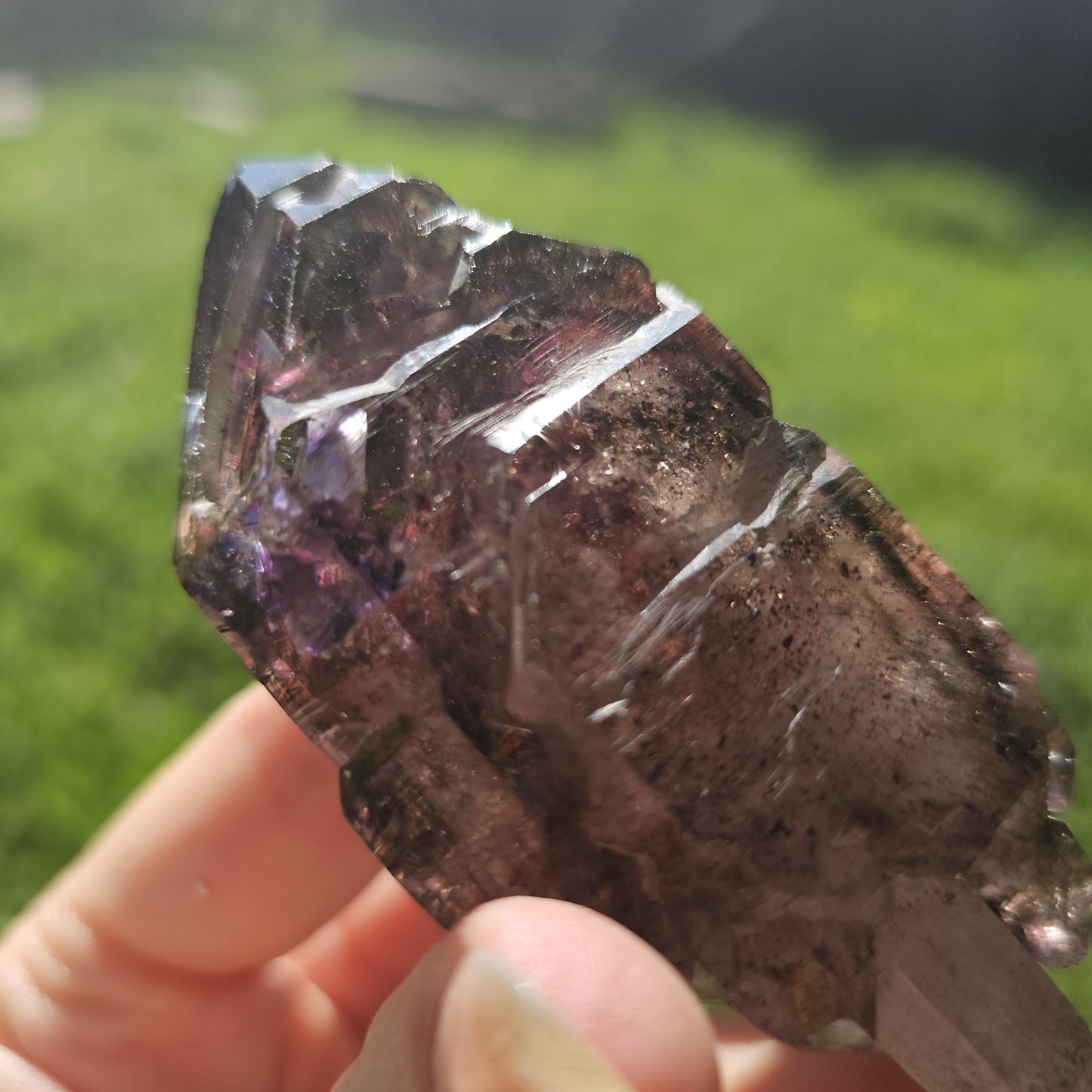 Large Tabby Shangaan Smoky Amethyst Sceptre from Zimbabwe