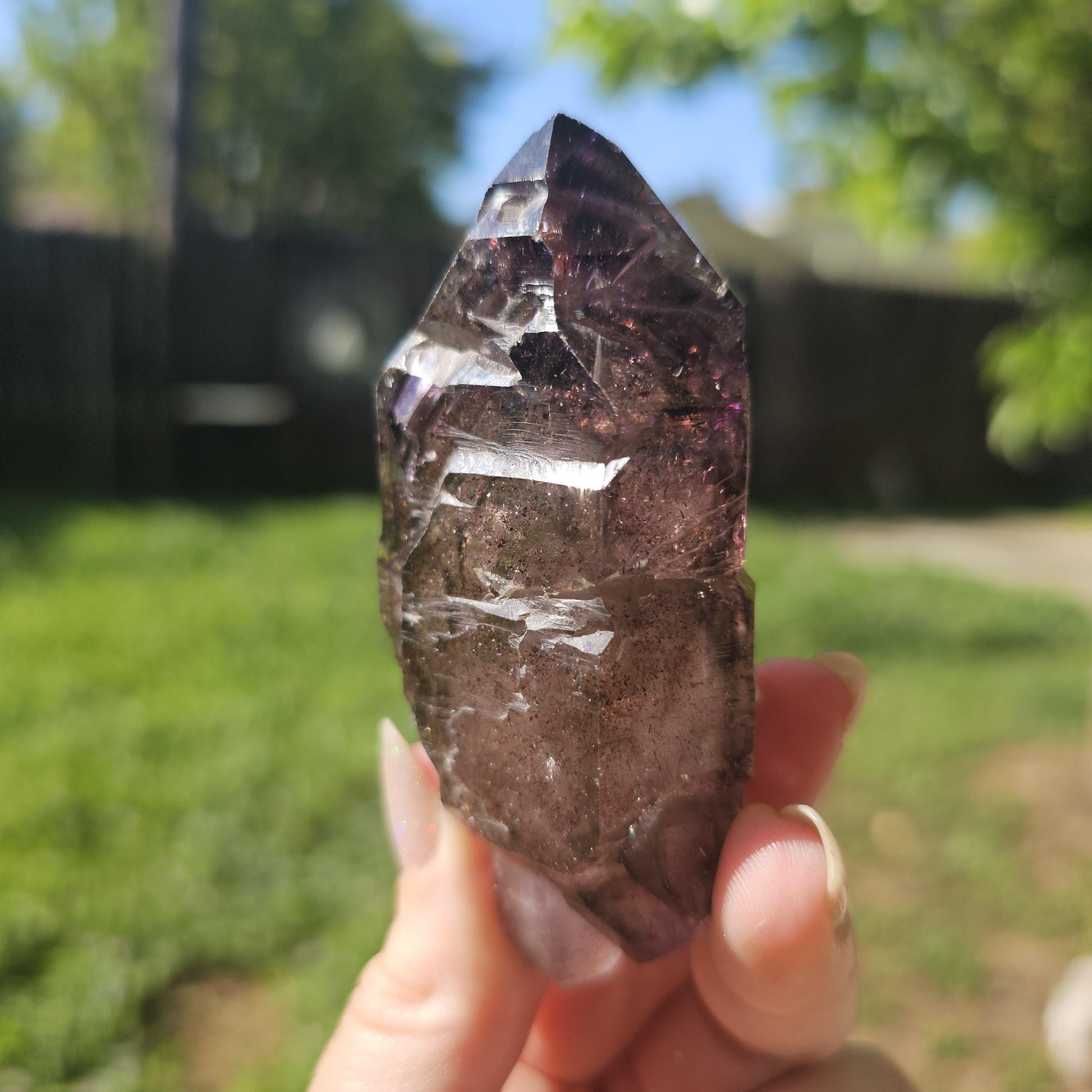 Large Tabby Shangaan Smoky Amethyst Sceptre from Zimbabwe