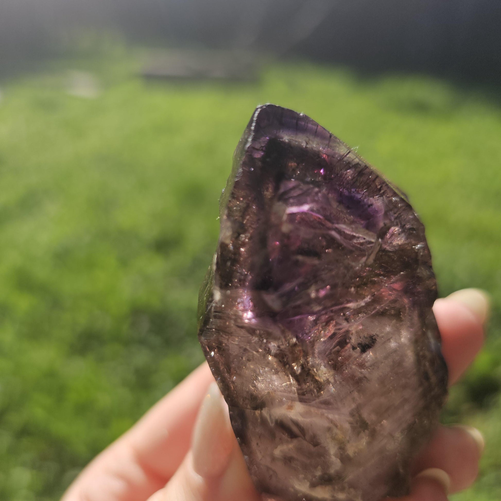 Large Tabby Shangaan Smoky Amethyst Sceptre from Zimbabwe