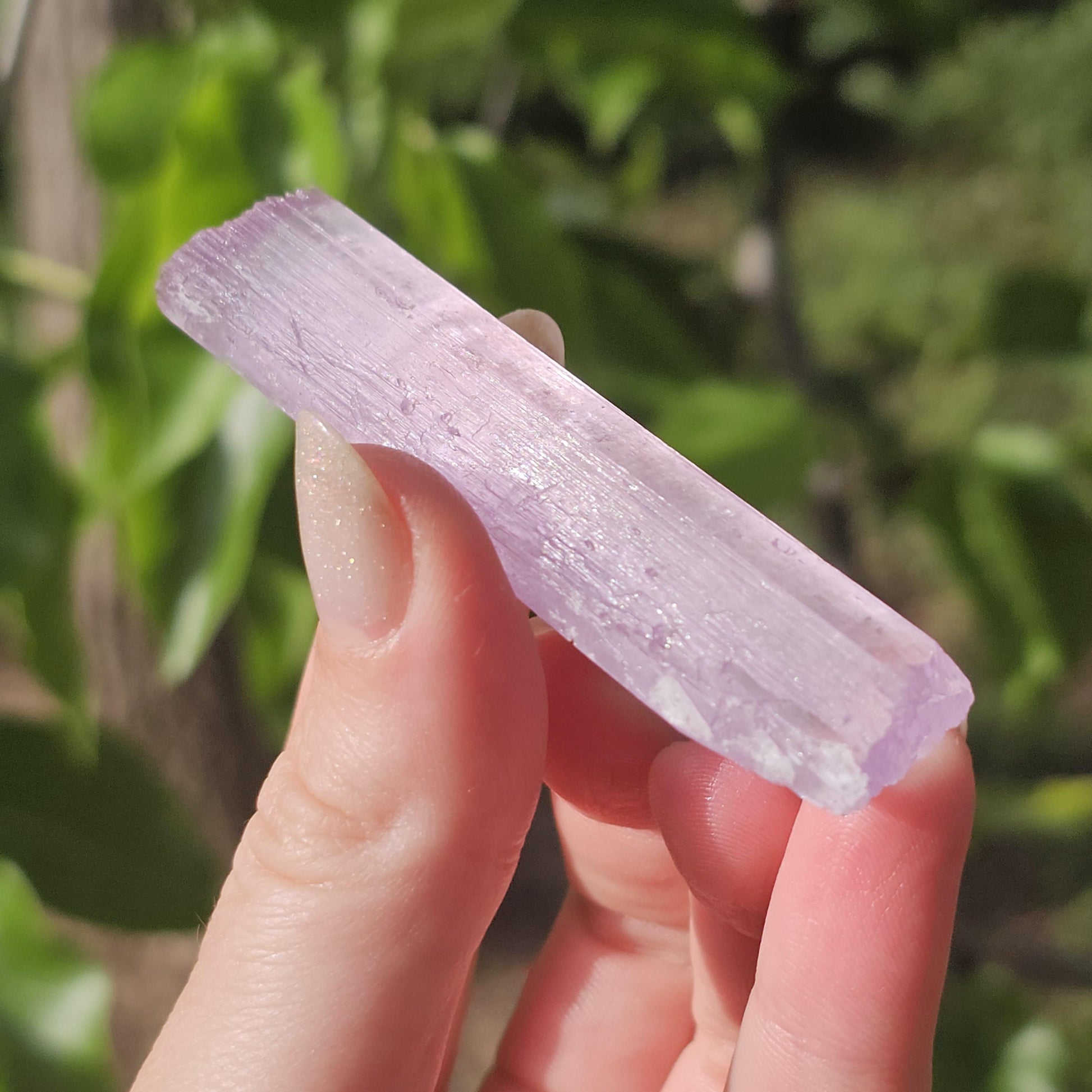 Stunning AAA Spodumene var. Kunzite Crystal with Great Luster and Color
