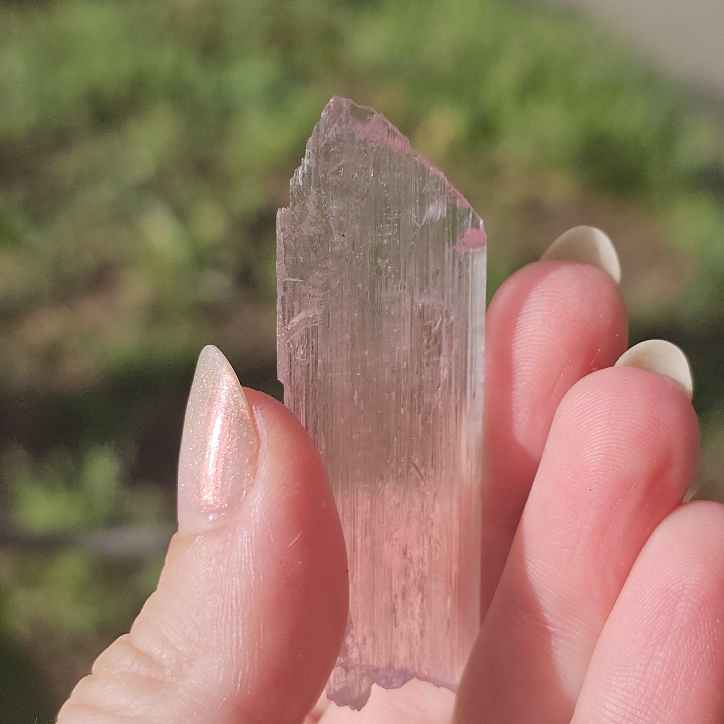 Super Thin Tabular Spodumene var. Kunzite Crystal with Great Luster, Highly UV Reactive Fluorescent Collector Specimen, Good Chatoyancy