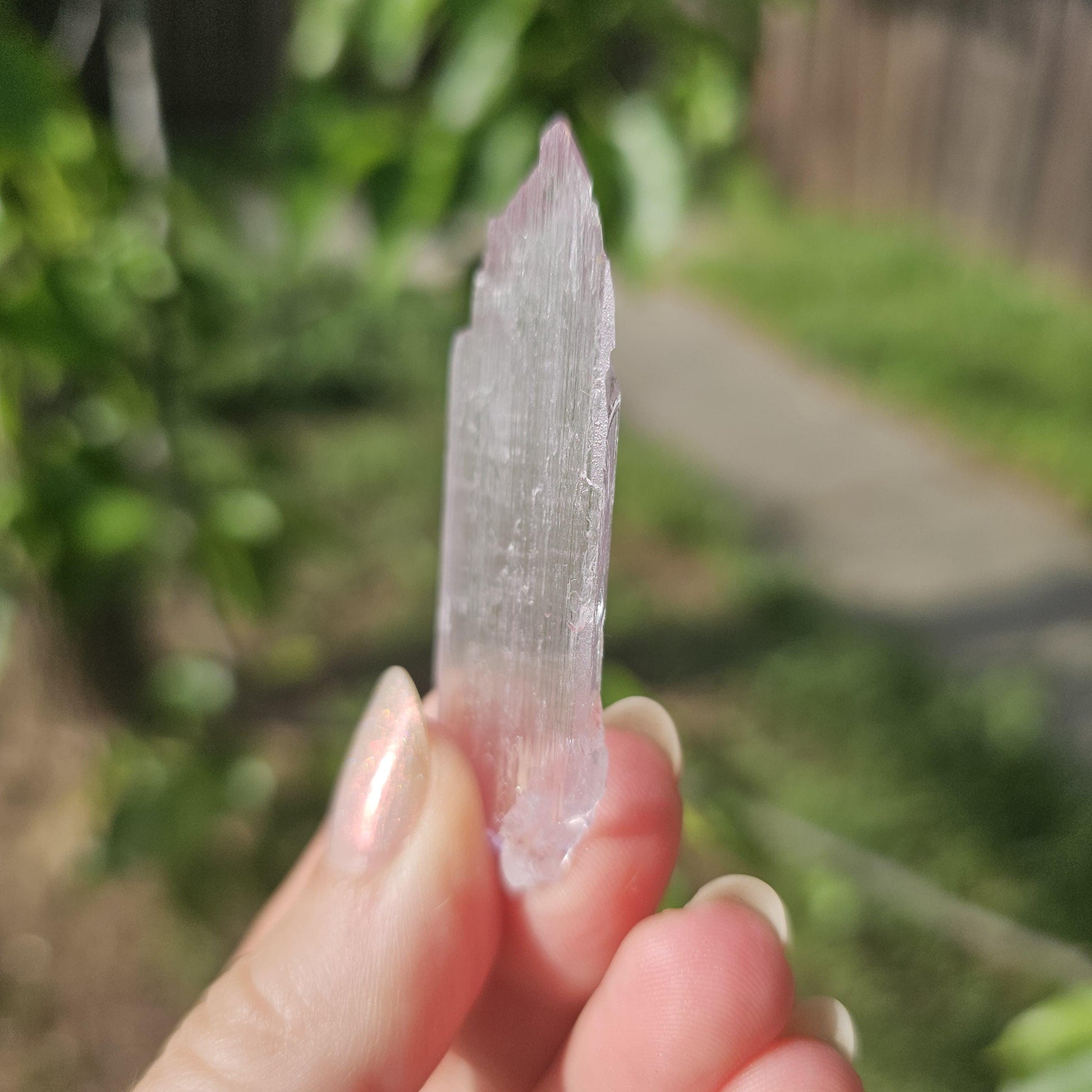 Super Thin Tabular Spodumene var. Kunzite Crystal with Great Luster, Highly UV Reactive Fluorescent Collector Specimen, Good Chatoyancy