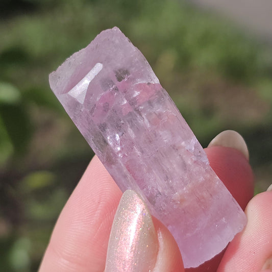 Juicy Pink Spodumene var. Kunzite Crystal with Great Luster, Hot Color