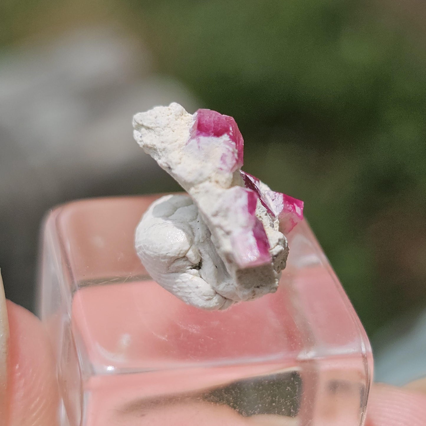 Hot Pink Red Beryl Crystals in Matrix/ Bixbite Specimen from Wah Wah Mtns, Utah