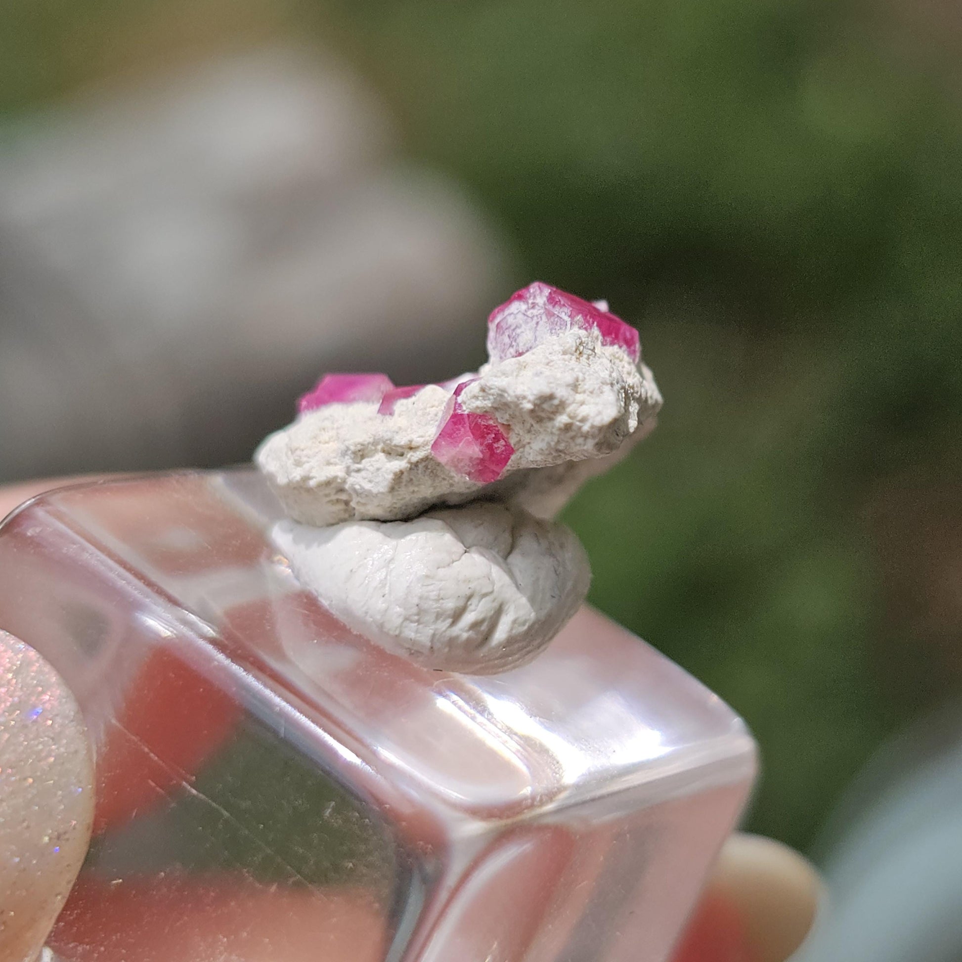Hot Pink Red Beryl Crystals in Matrix/ Bixbite Specimen from Wah Wah Mtns, Utah