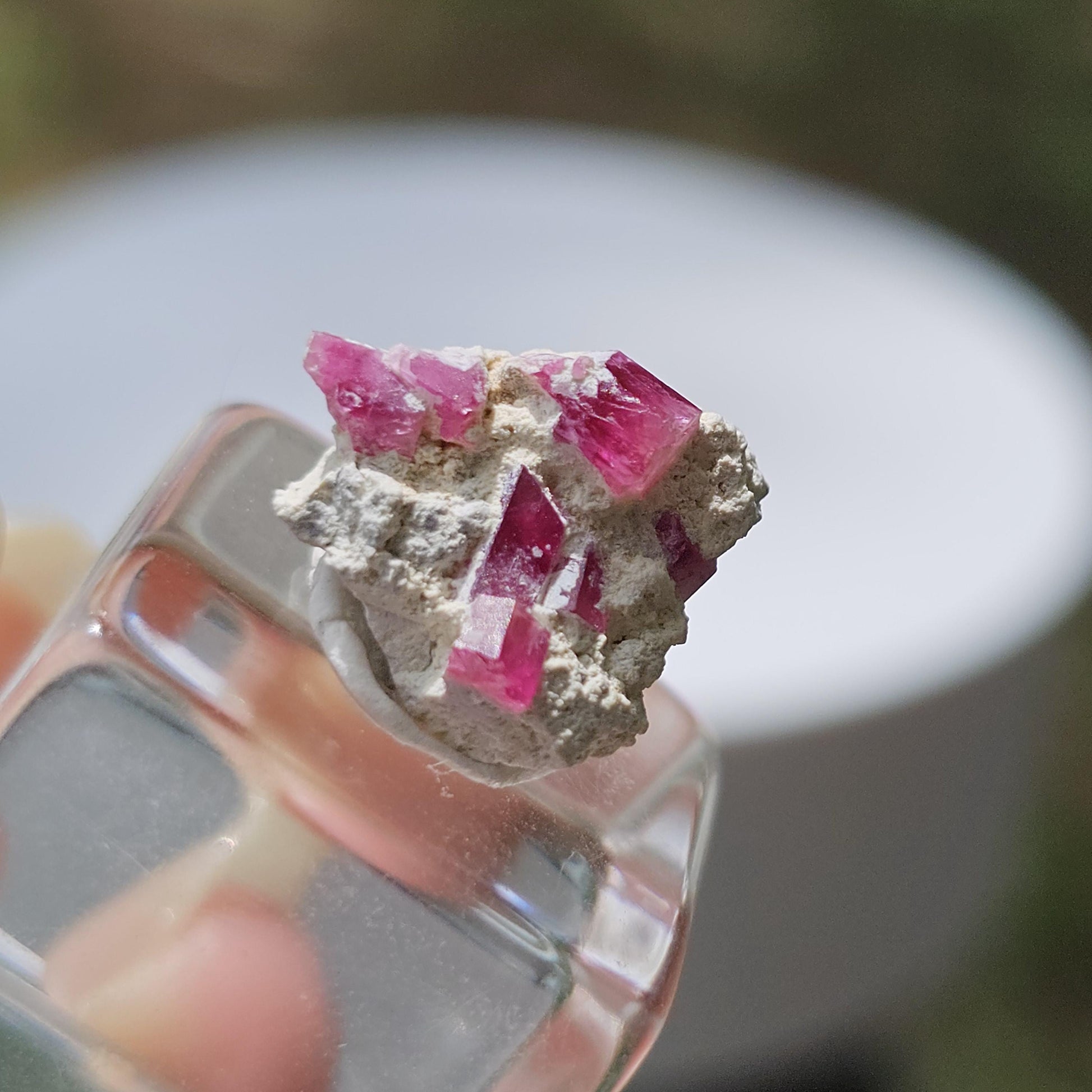 Hot Pink Red Beryl Crystals in Matrix/ Bixbite Specimen from Wah Wah Mtns, Utah