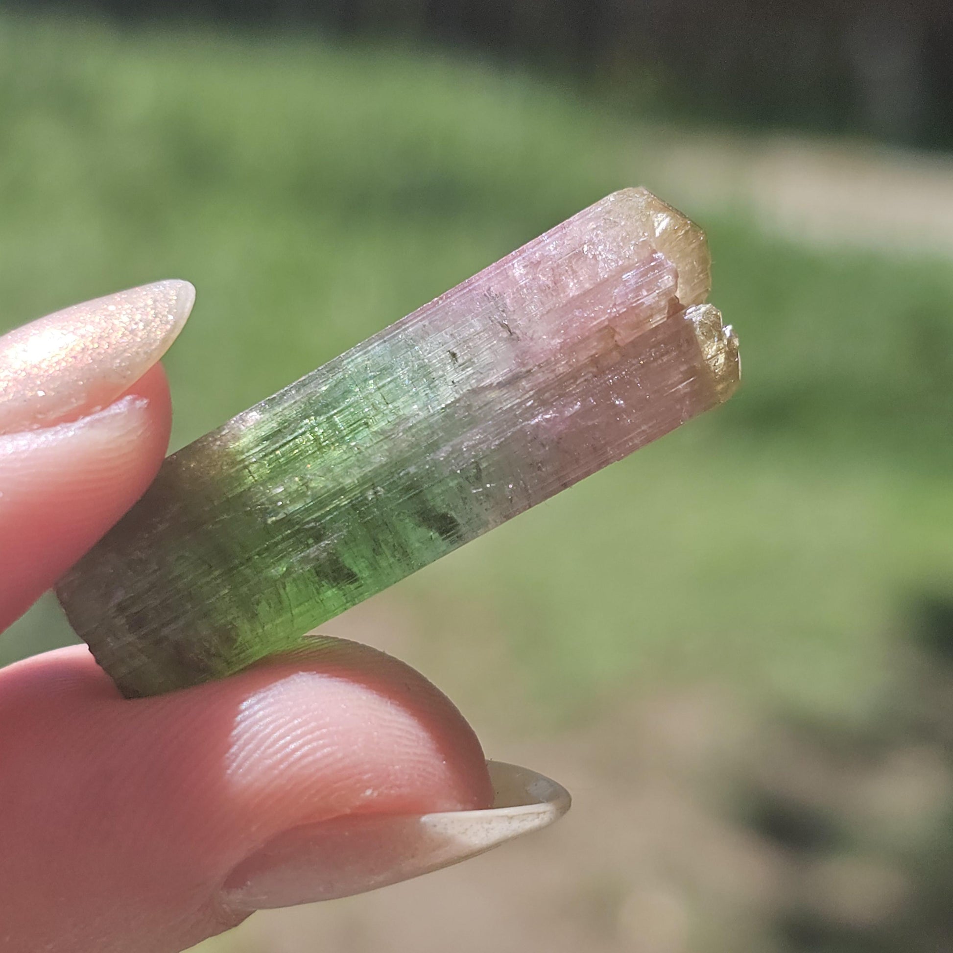 Rainbow Tourmaline Crystal from New Pocket, Taquaral Brazil, Green Pink Blue and Yellow Elbaite