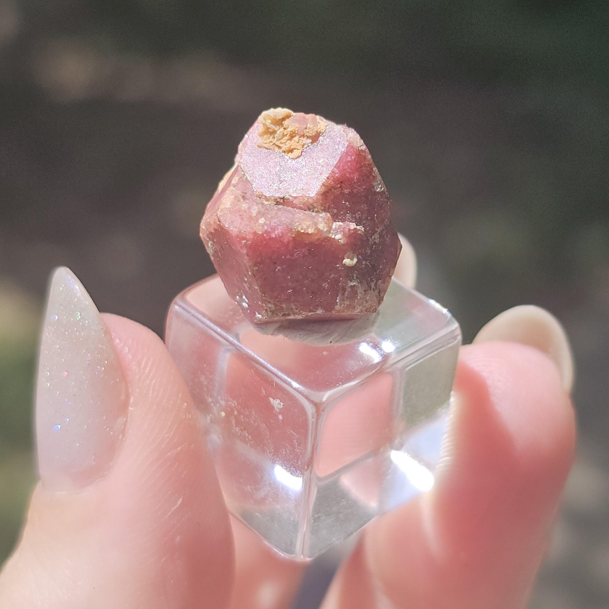 Rough Raspberry Garnet Floater from Sierra de Cruces Mexico <100