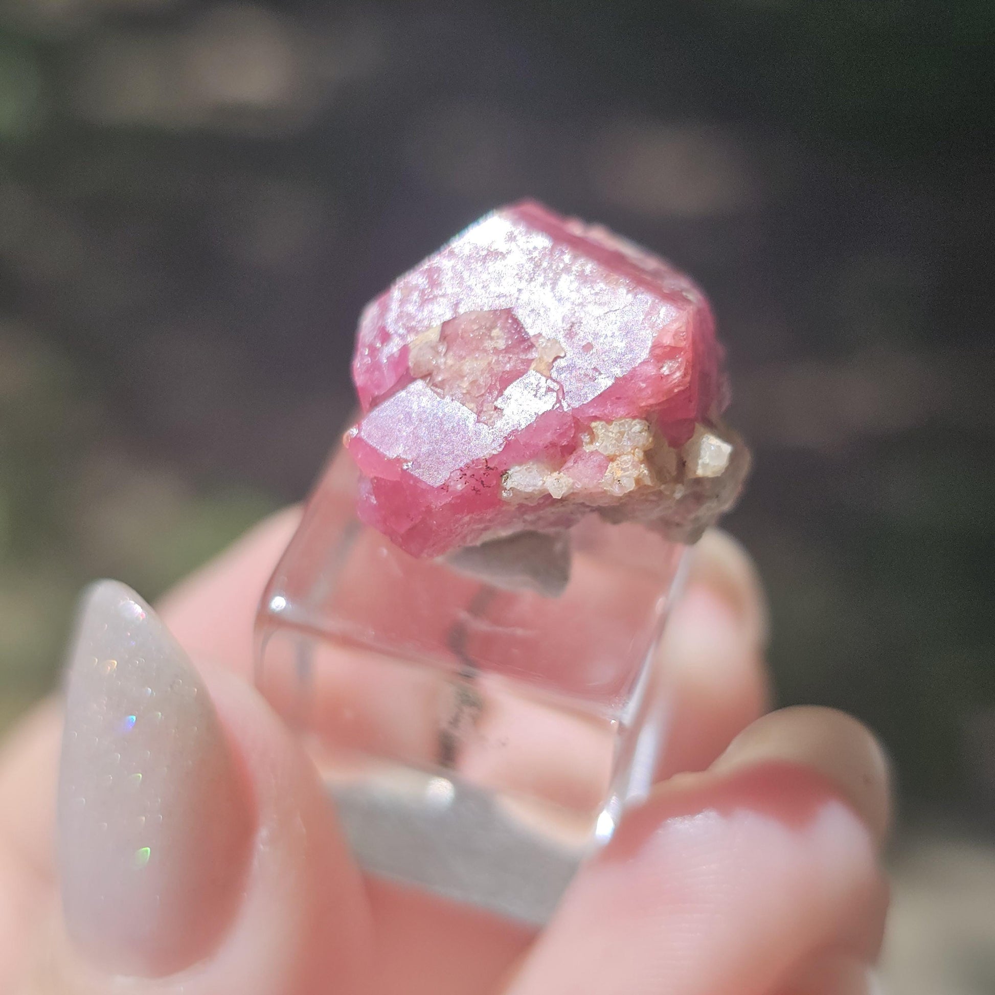 Hot Pink Raspberry Garnet Floater from Sierra de Cruces Mexico <100