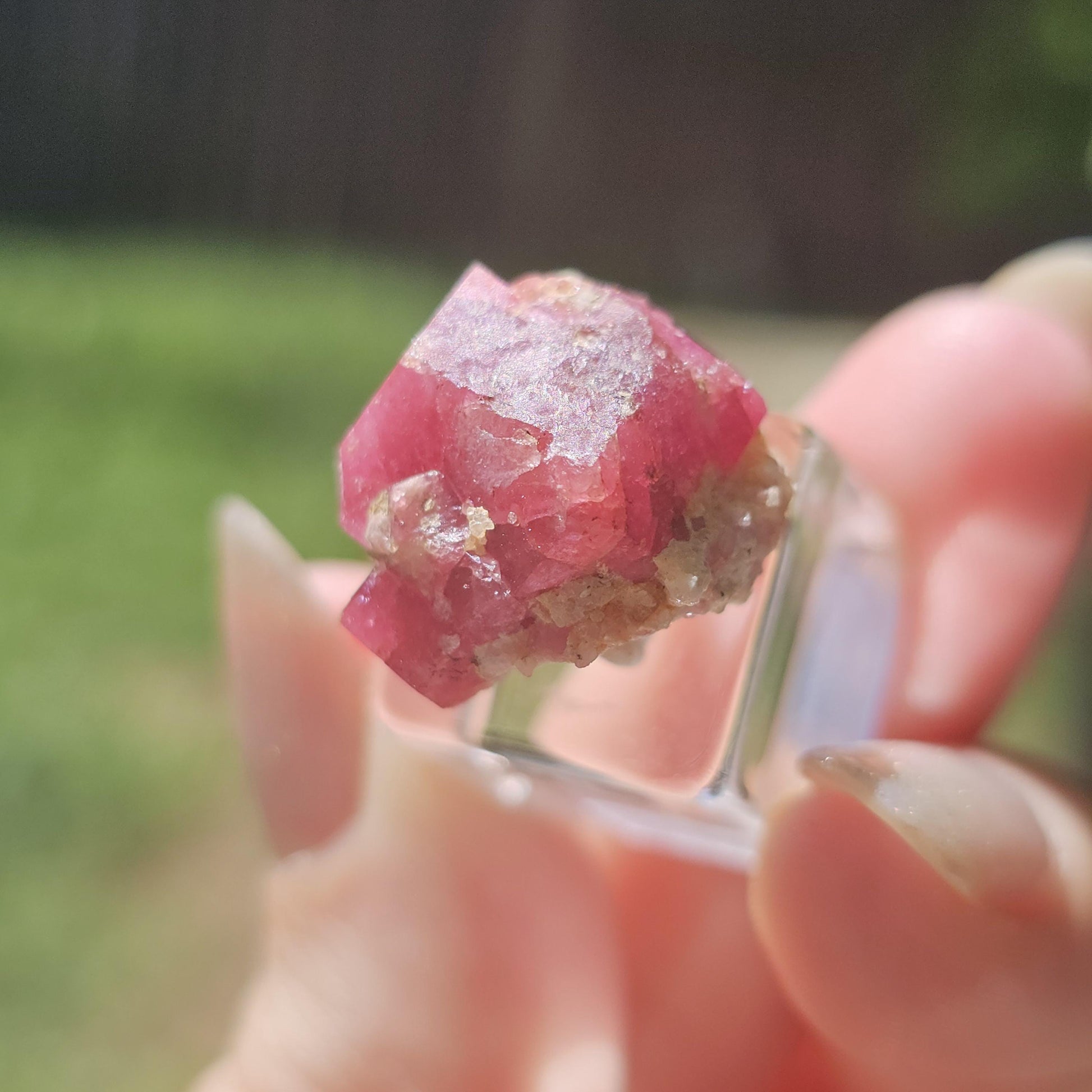 Hot Pink Raspberry Garnet Floater from Sierra de Cruces Mexico <100