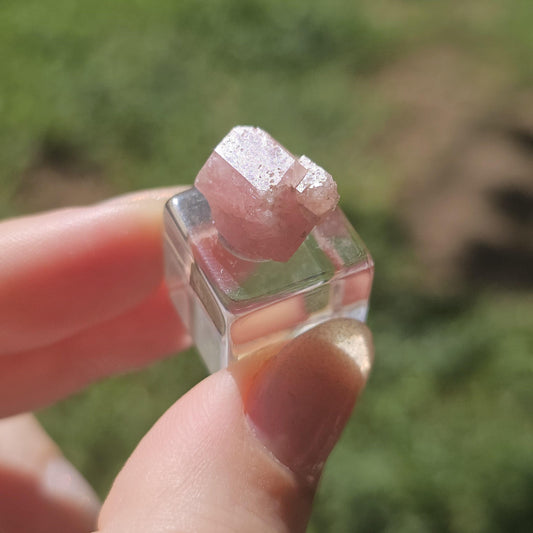 Baby Pink Garnet, Sierra de las Cruces, Mexico, New Stock 2024 Production, Lustrous Terminated, Grossular Floater, Colorful Rare Gemstone