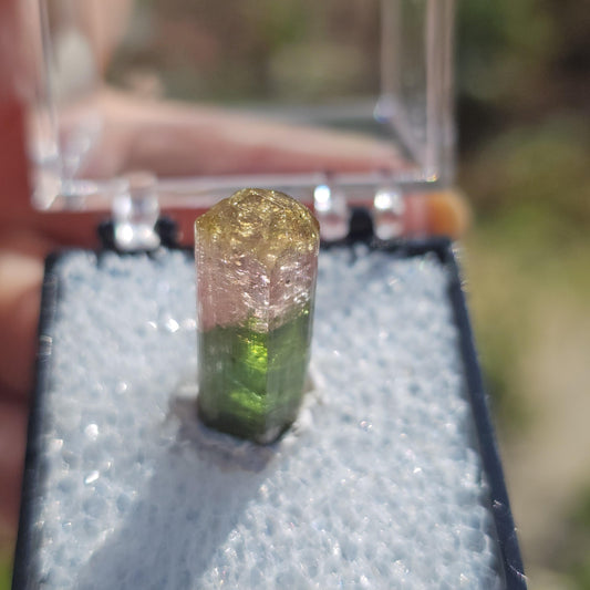 Cute Green Yellow and Pink 'Rainbow' Tourmaline Thumbnail Crystal Specimen ~Taquaral, Brazil