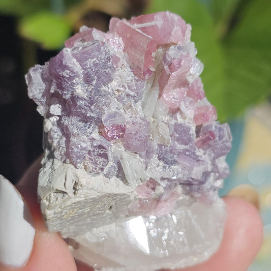 Pink Tourmaline and Purple Lepidolite Mica w Feldspar and Albite from the California Himalaya Mine, Source Traced 90s Material