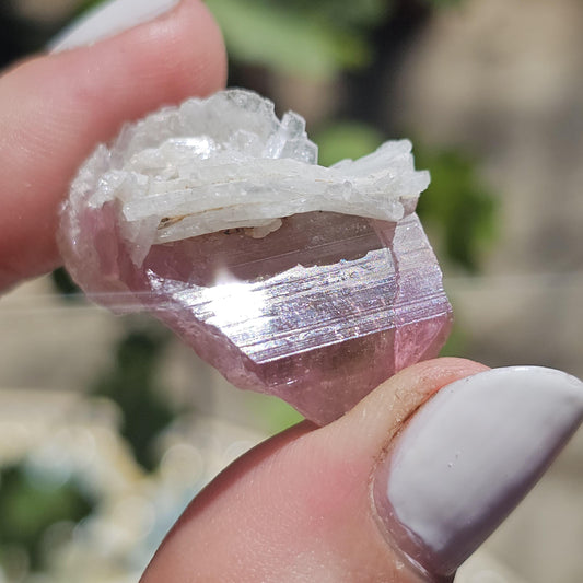 Juicy Pink and Green Tourmaline from the California Himalaya Mine w Lustrous White Cleavandite, Source Traced 90s Material
