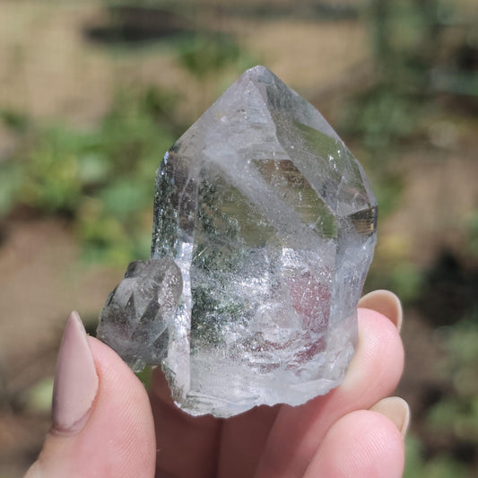 Clear Himalayan Quartz Point with Chlorite ~ New Find High Quality Crystal Specimen