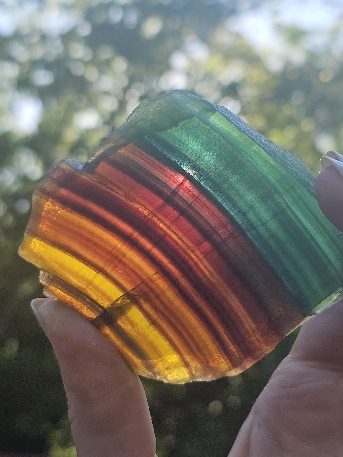 Rainbow Fluorite Slab ~ Yellow, Green, Blue, Purple Striped and Polished Piece