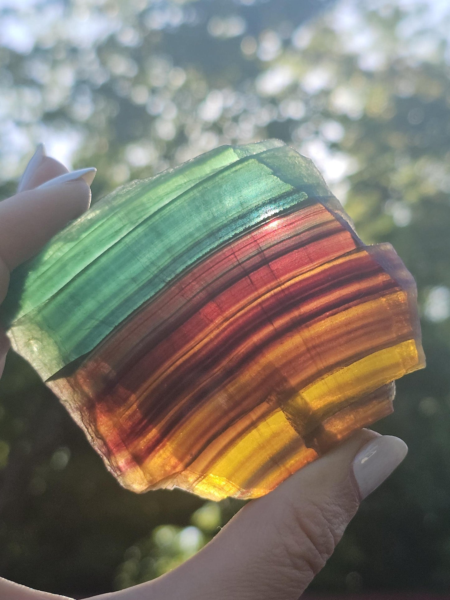Rainbow Fluorite Slab ~ Yellow, Green, Blue, Purple Striped and Polished Piece
