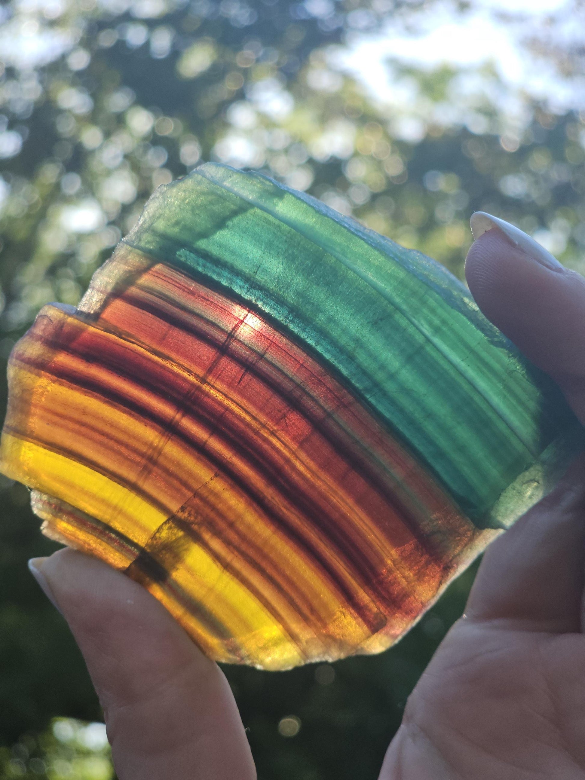 Rainbow Fluorite Slab ~ Yellow, Green, Blue, Purple Striped and Polished Piece