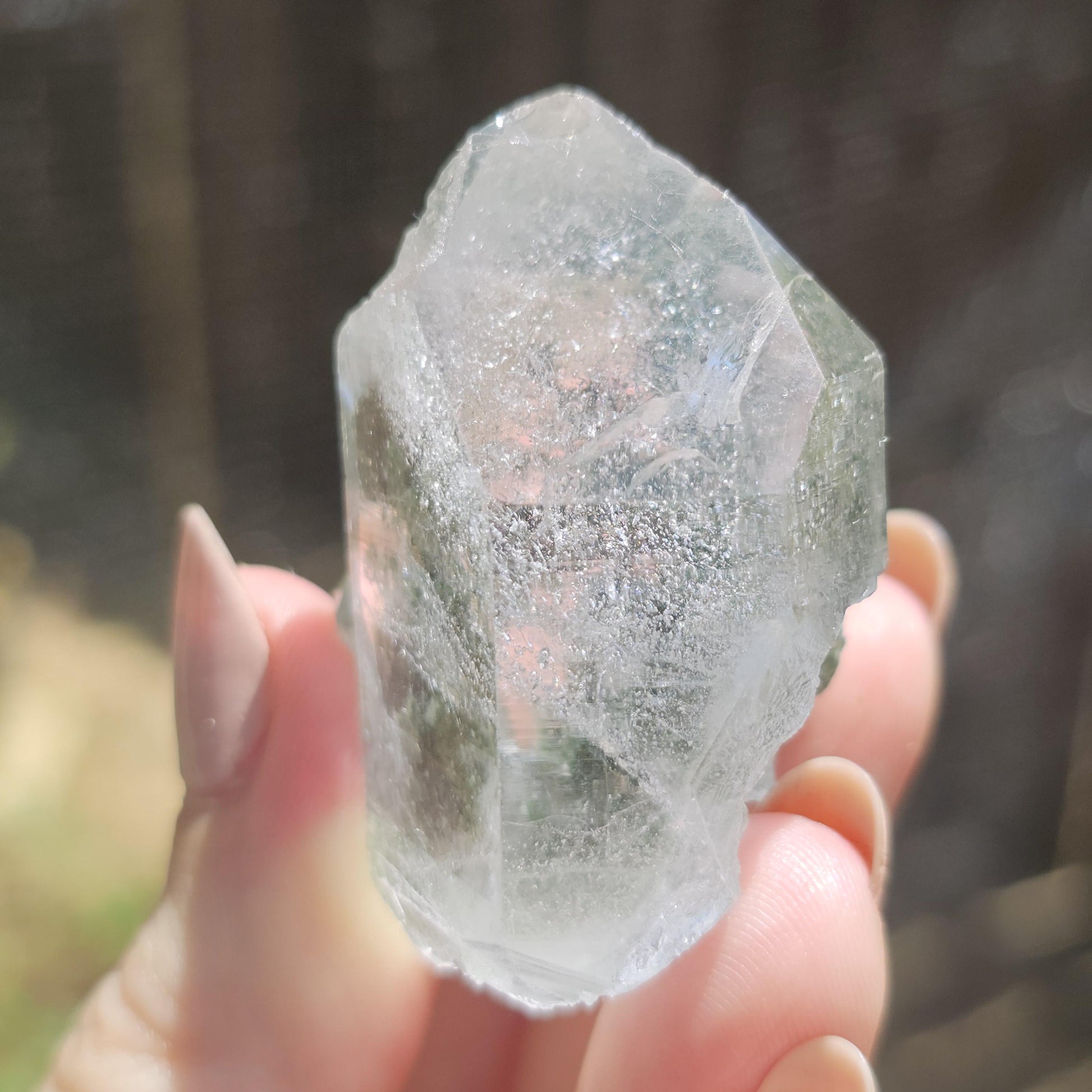 Clear Himalayan Quartz Point with Chlorite ~ New Find High Quality Crystal Specimen