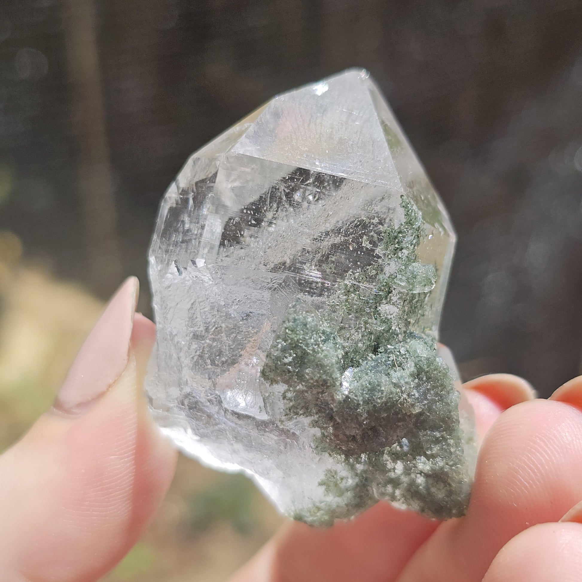 Clear Himalayan Quartz Point with Chlorite ~ New Find High Quality Crystal Specimen
