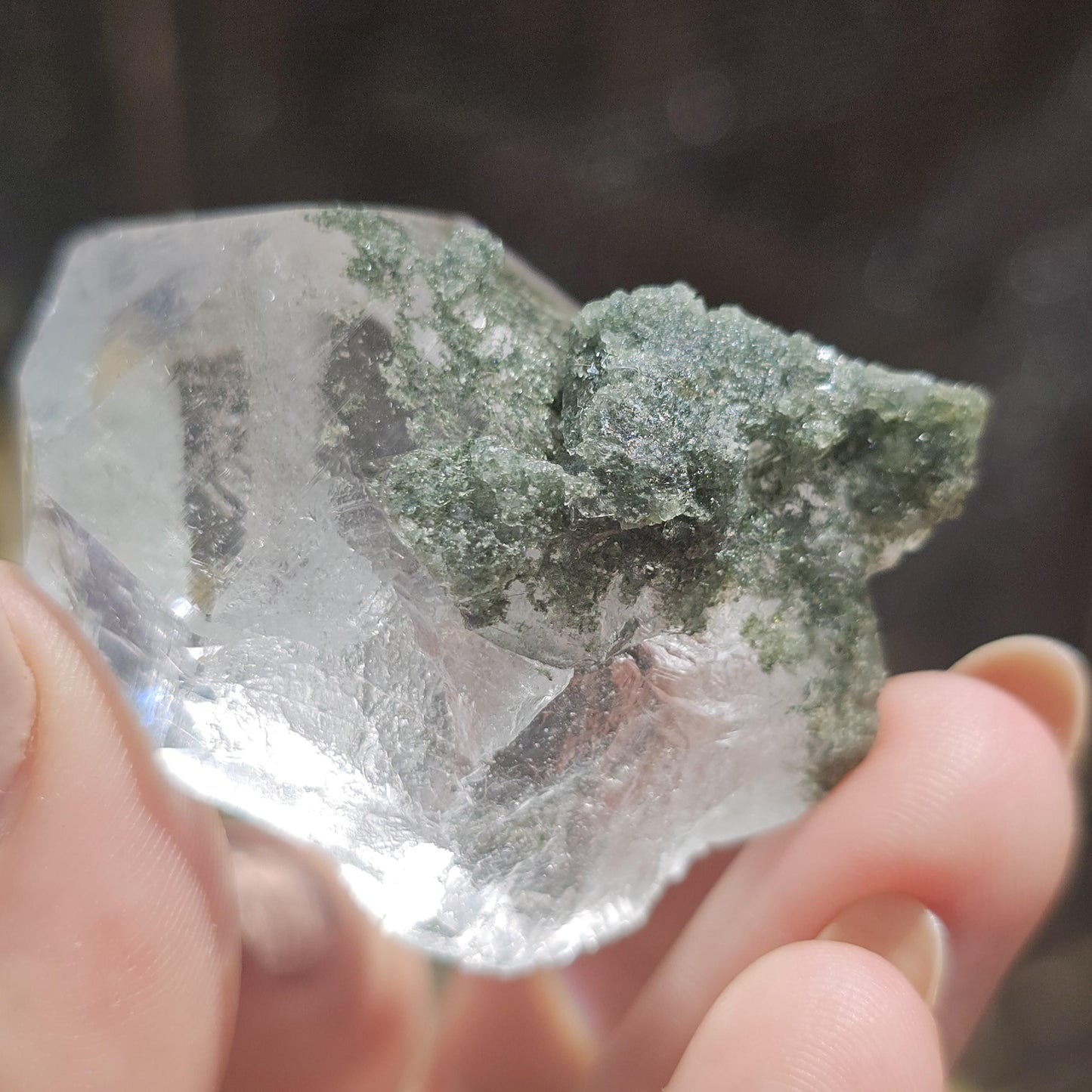 Clear Himalayan Quartz Point with Chlorite ~ New Find High Quality Crystal Specimen