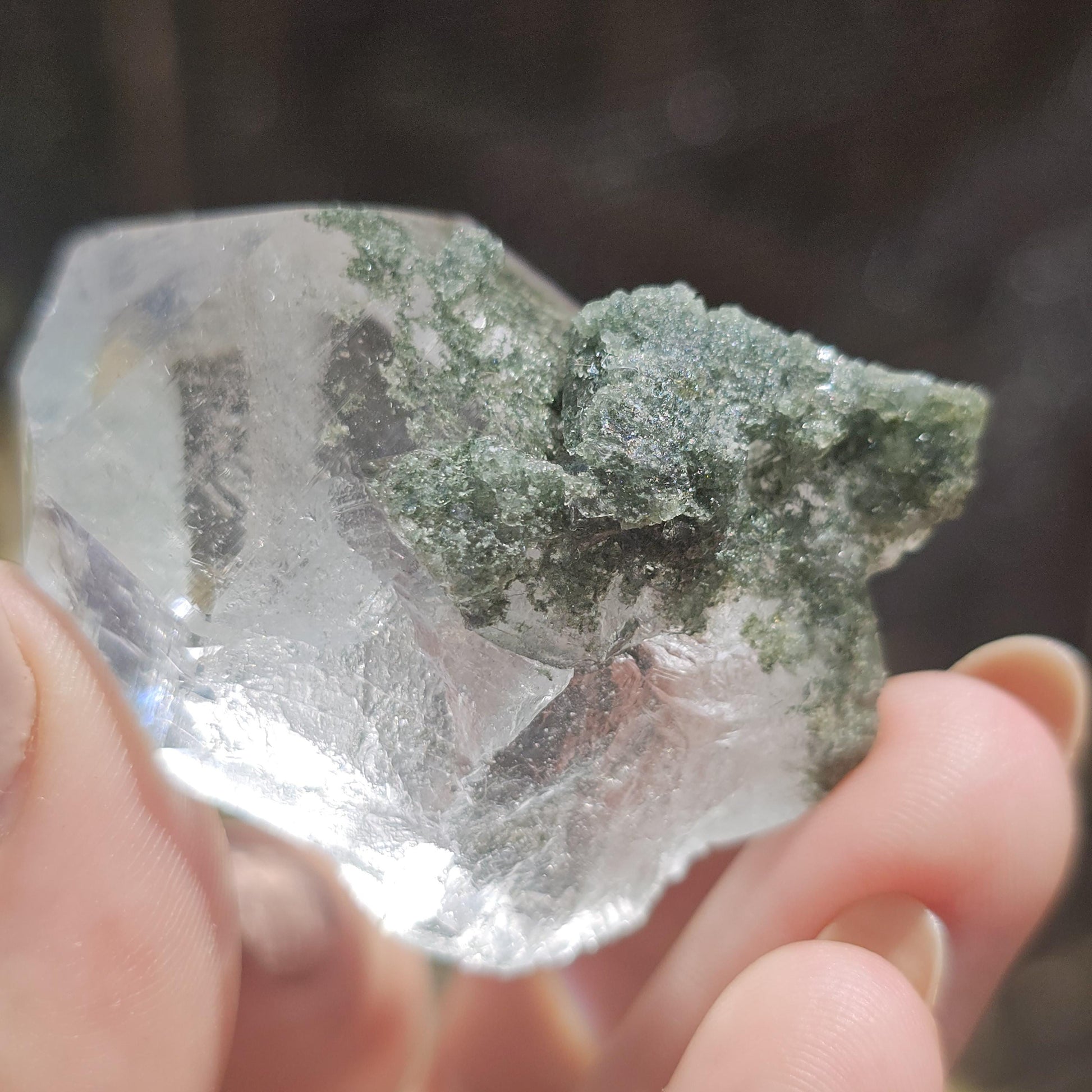 Clear Himalayan Quartz Point with Chlorite ~ New Find High Quality Crystal Specimen