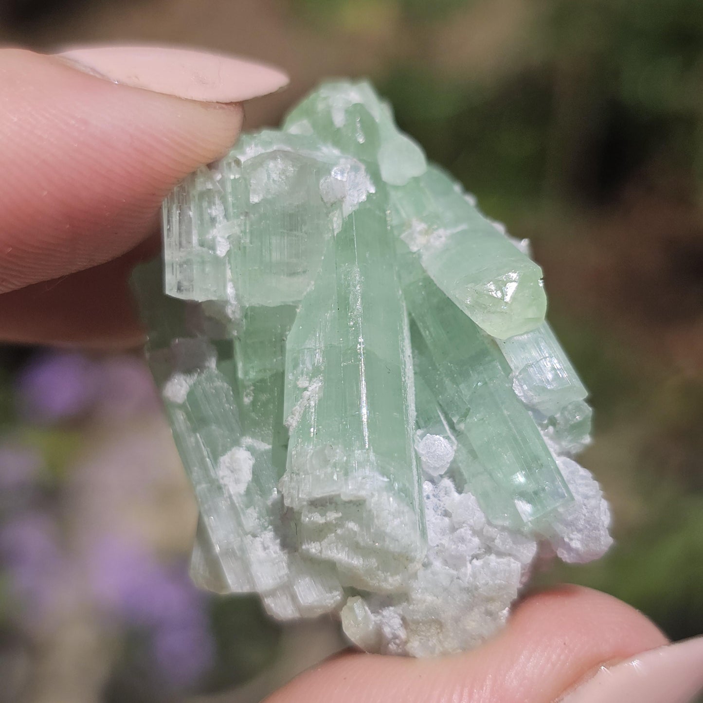 Seafoam Tourmaline Crystal Cluster, Lepidolite Sparkles, Laghman Gem