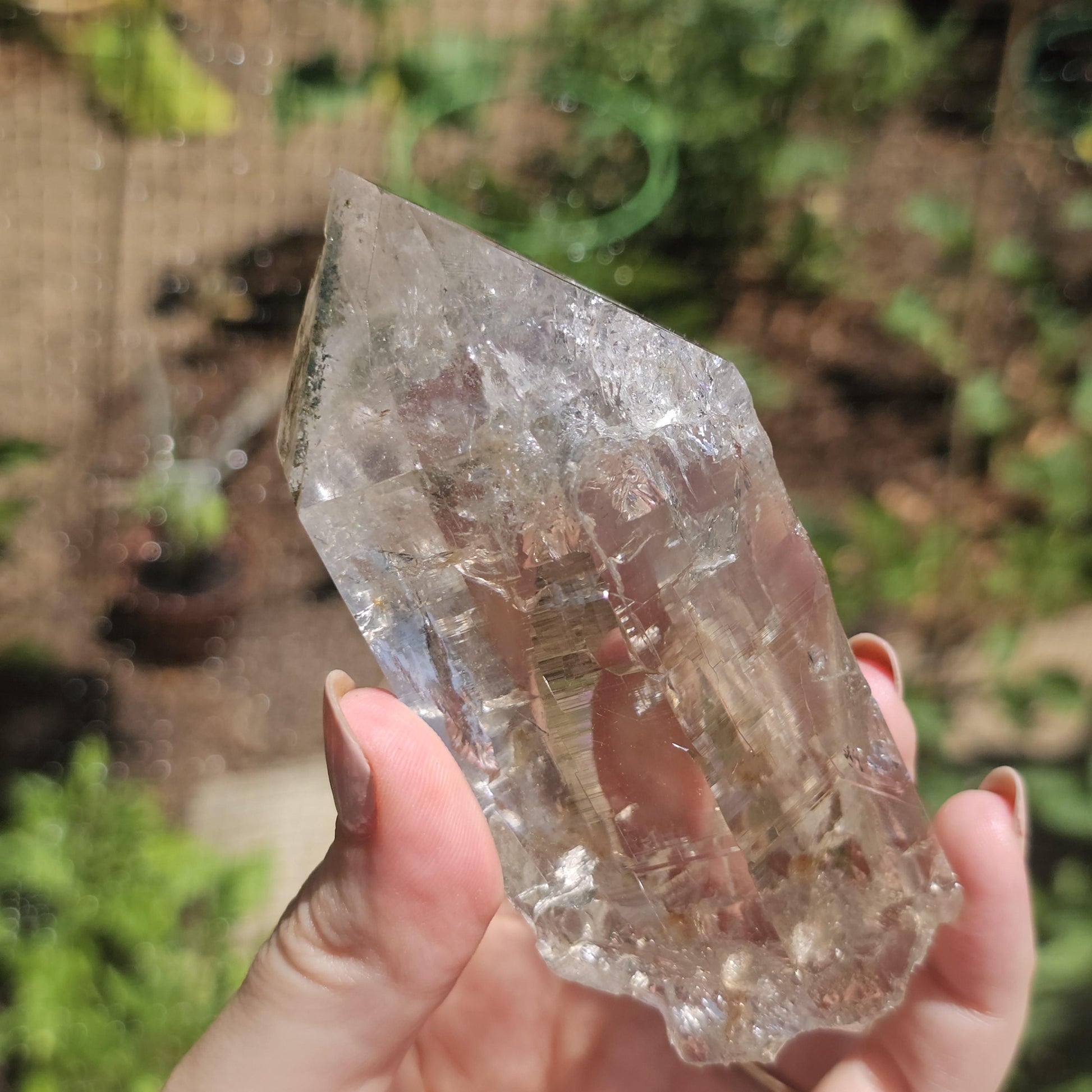 Clear Himalayan Quartz Point with Chlorite ~ New Find High Quality Large Single Point
