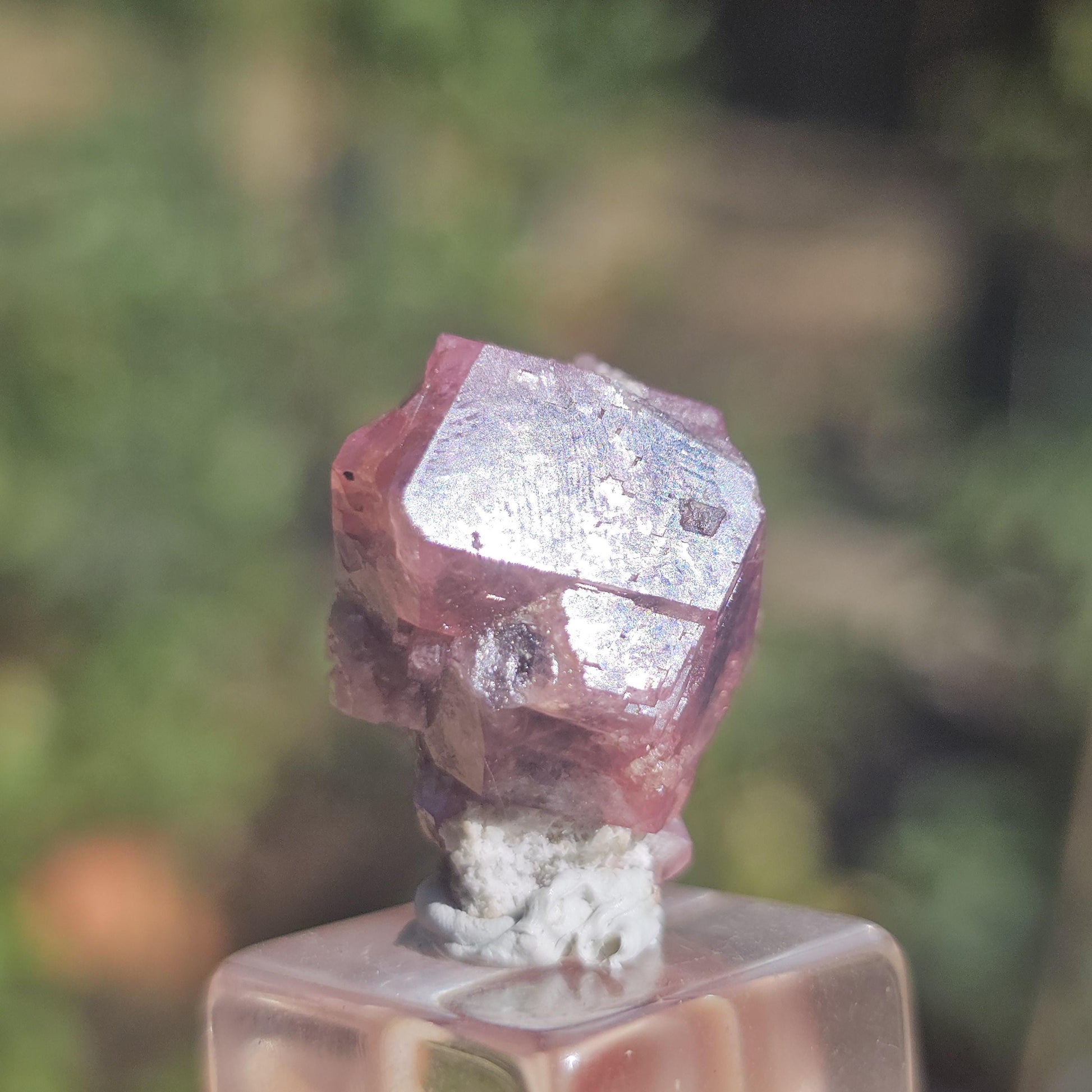 Raspberry Garnet from Sierra de Cruces, Mexico, Rare Dark Purple Pink Grossular Garnet Floater Specimen