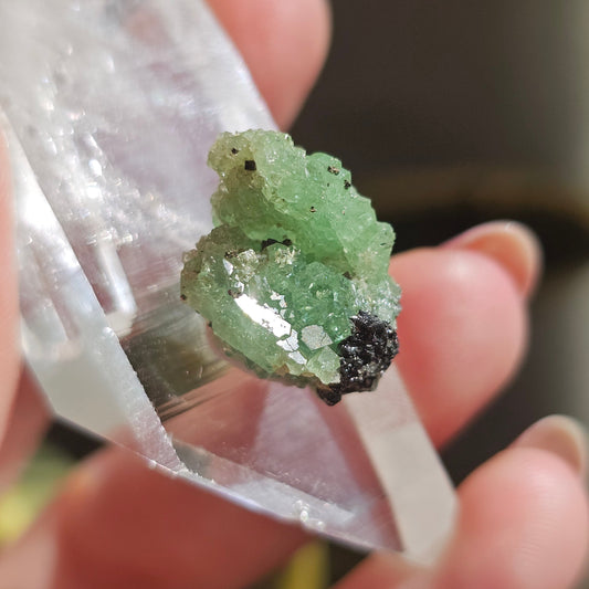 May include: A small green crystal with black specks. The crystal is a cluster of small crystals and has a rough, uneven surface.