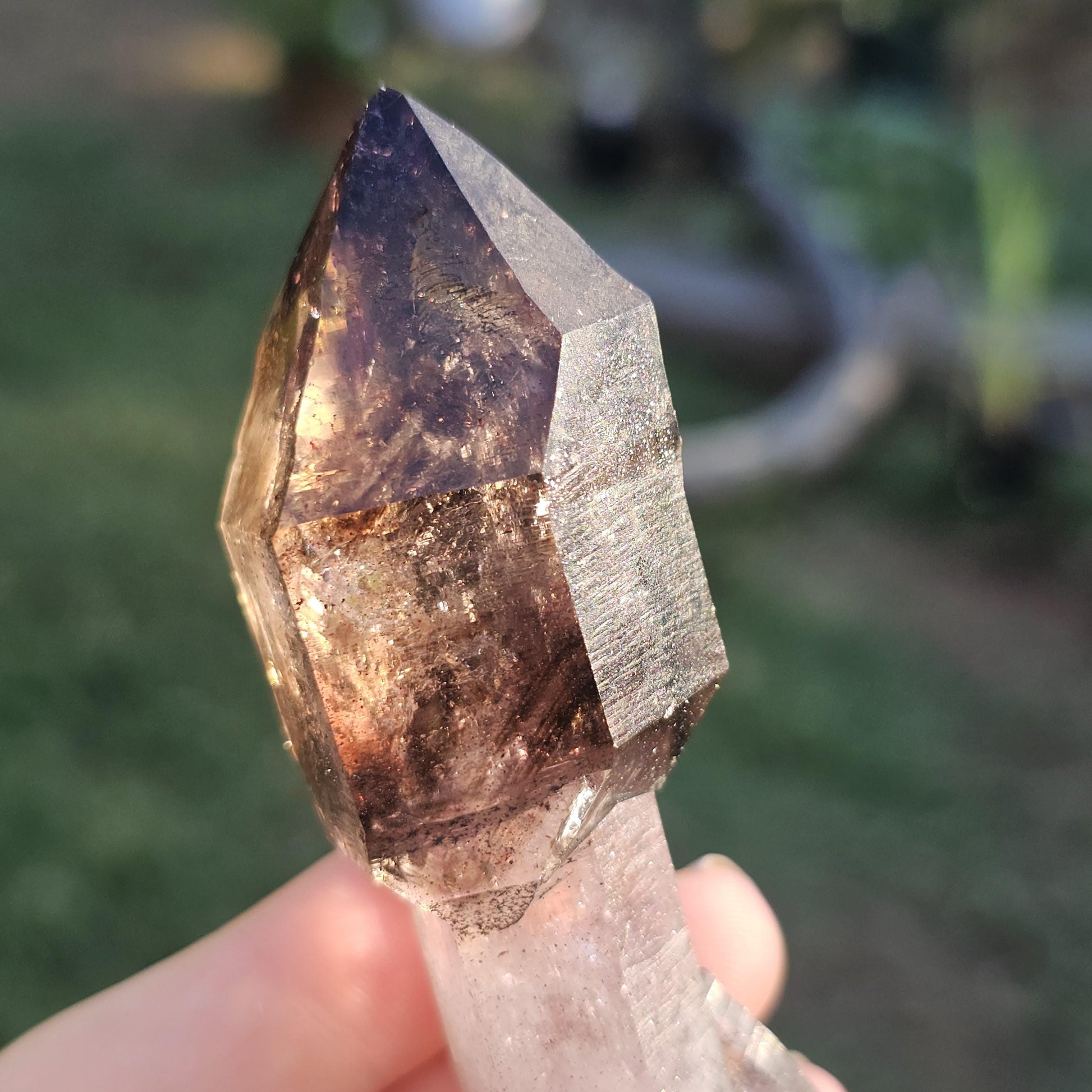 Shangaan Amethyst Scepter, Dendrites, Hematite Inclusions, Zimbabwe