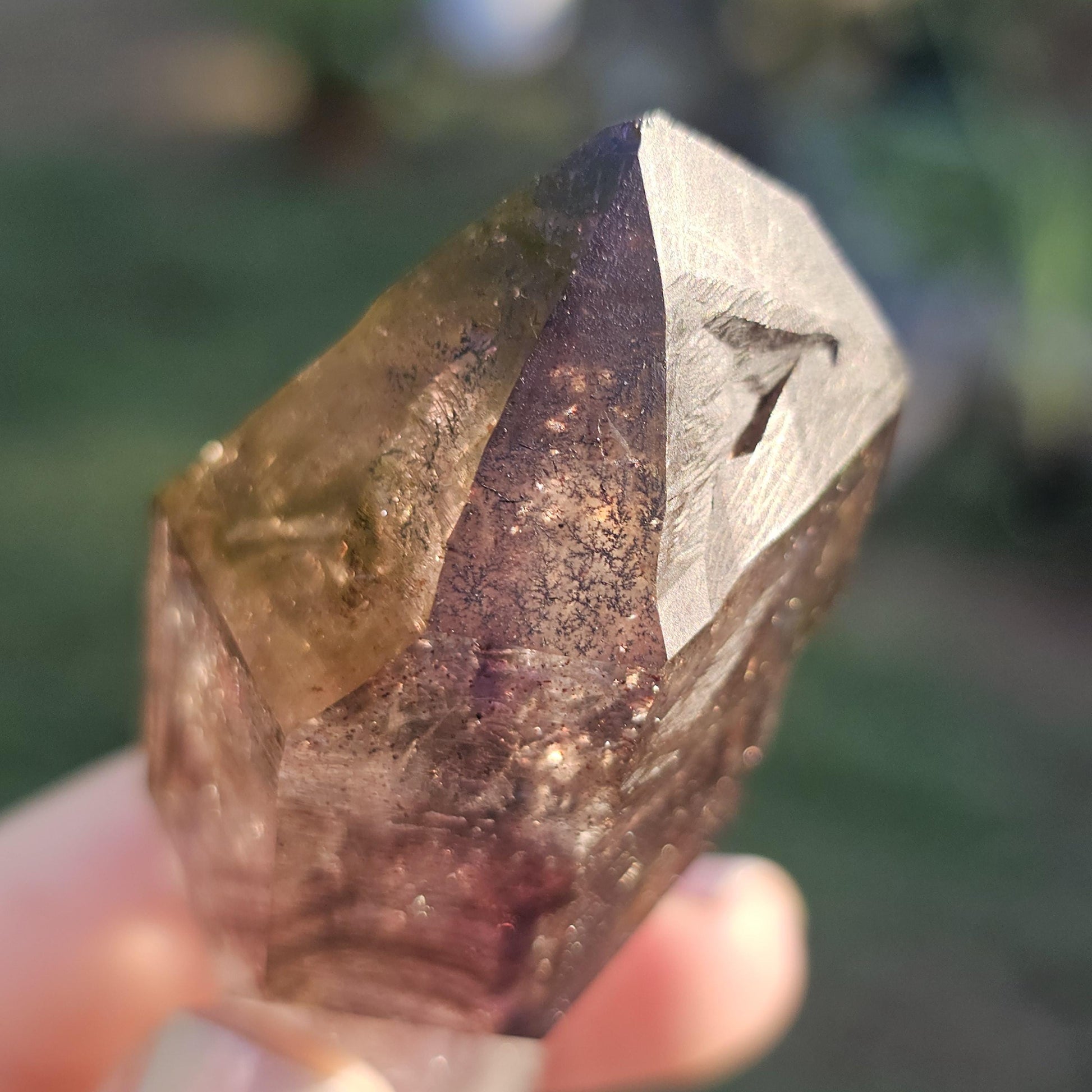 Shangaan Amethyst Scepter, Dendrites, Hematite Inclusions, Zimbabwe