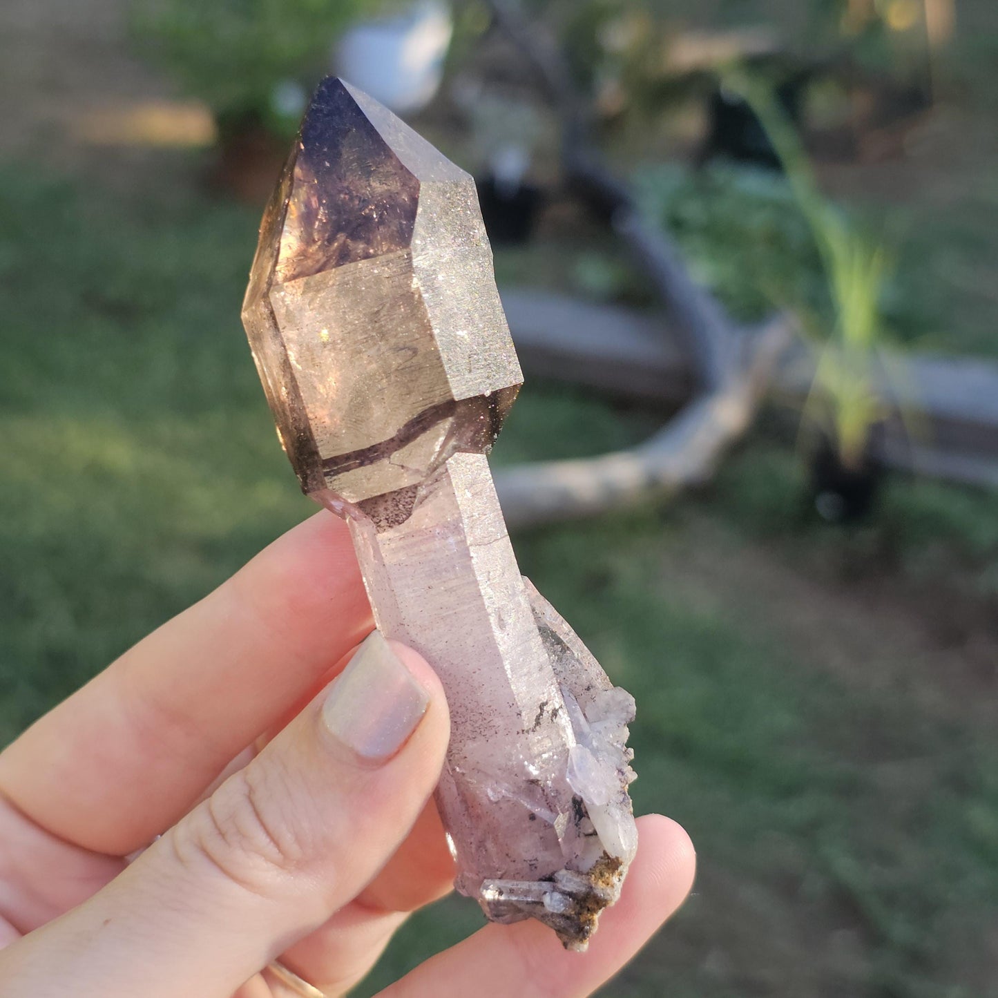 Shangaan Amethyst Scepter, Dendrites, Hematite Inclusions, Zimbabwe