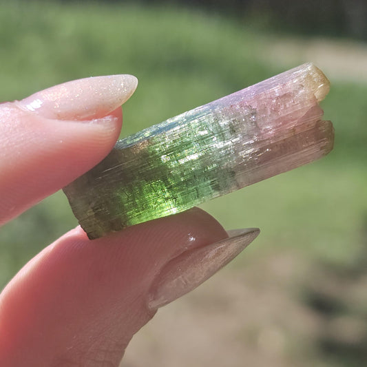 Rainbow Tourmaline Crystal from New Pocket, Taquaral Brazil, Green Pink Blue and Yellow Elbaite
