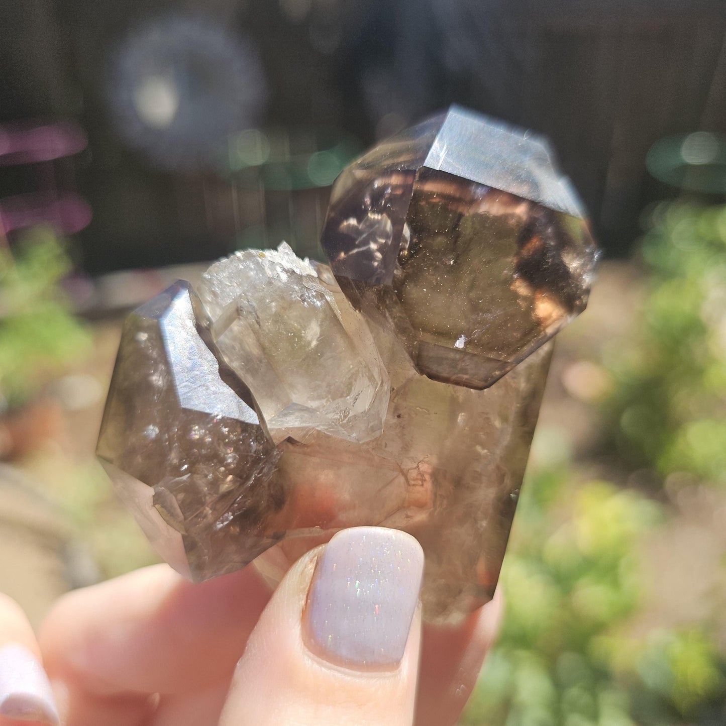 California Smokey Quartz Scepter Specimen: Double Terminated Crystal