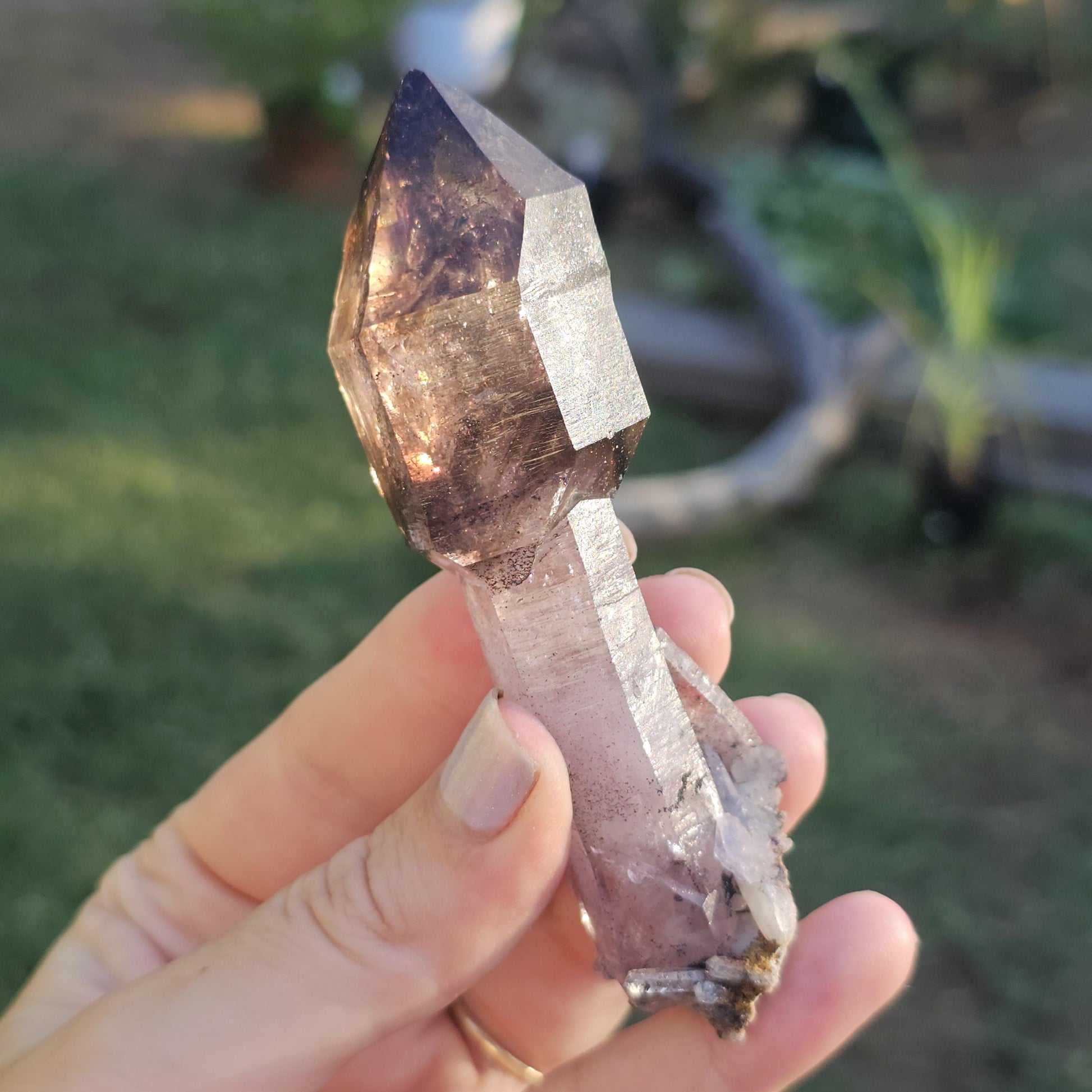 Shangaan Amethyst Scepter, Dendrites, Hematite Inclusions, Zimbabwe